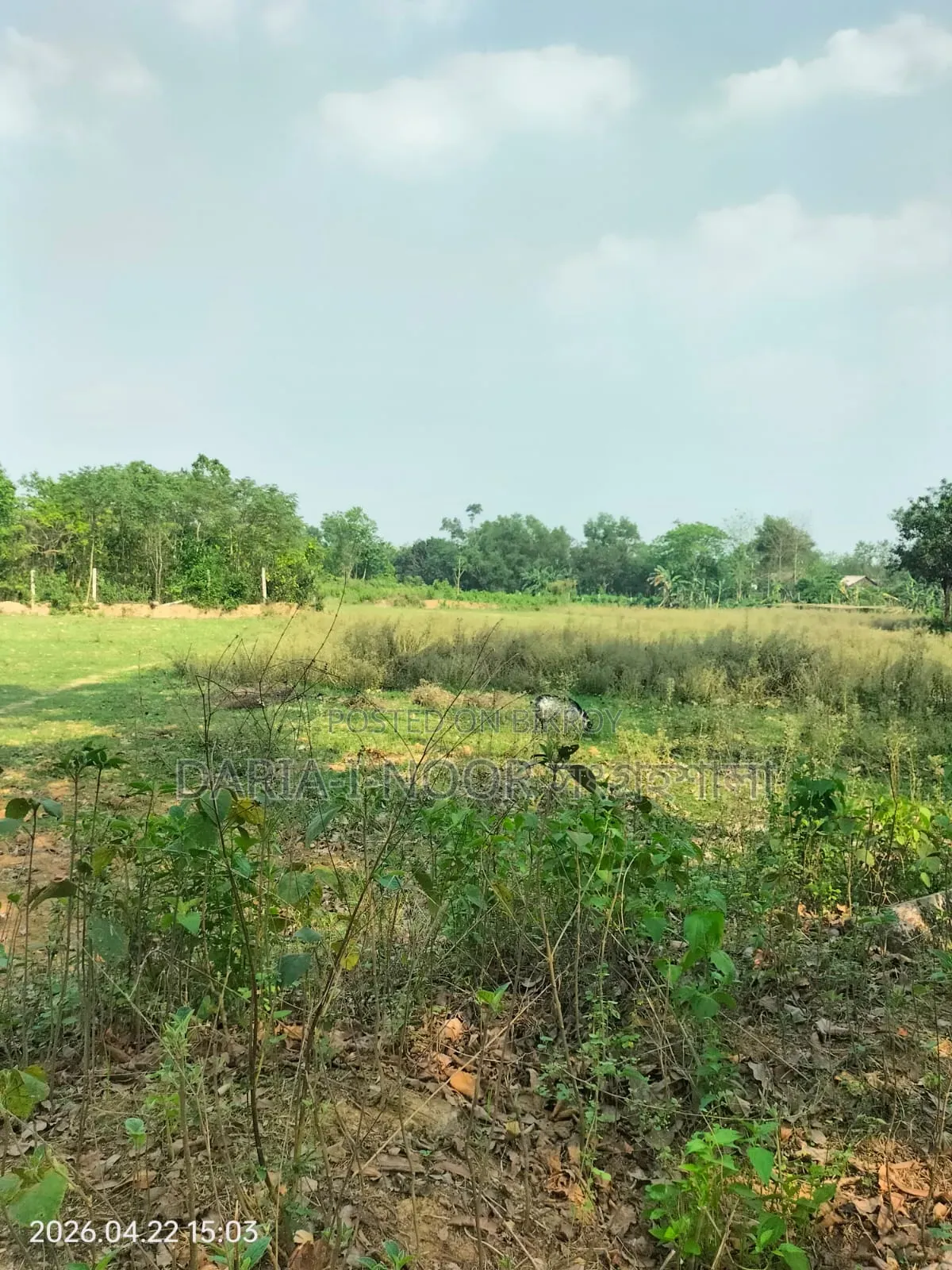 10 Bigha High Land for Sale in Maona, Gazipur in Gazipur Sadar