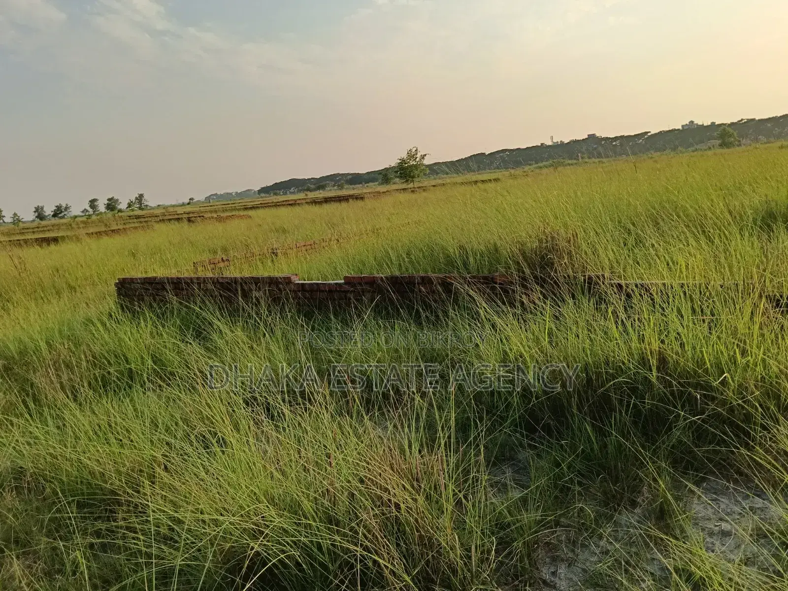 Block-M, East Facing 5 Katha Plot Sale in Basundhara