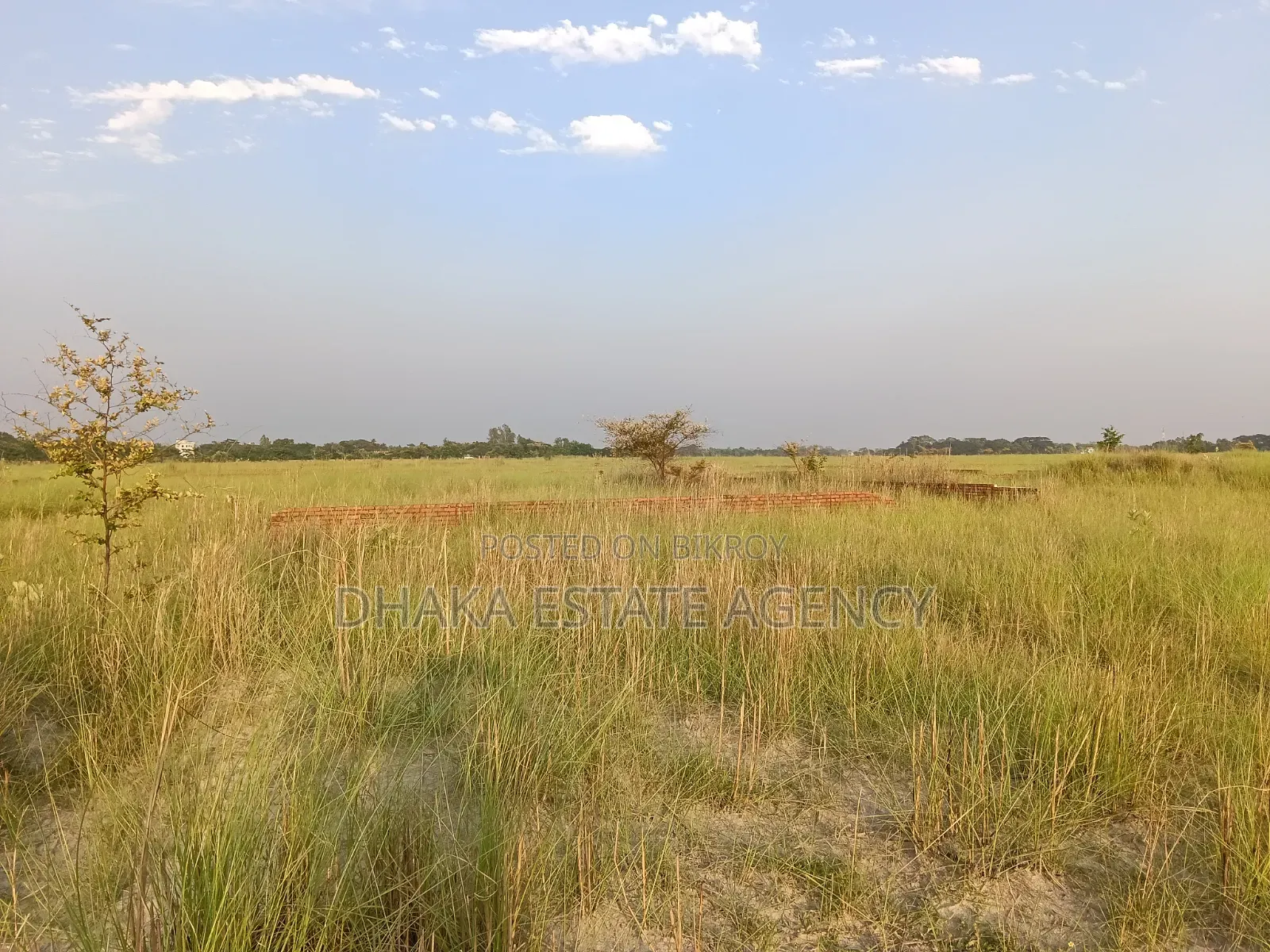 Urgent P, Block, 3 Katha Plot Sale in Basundhara