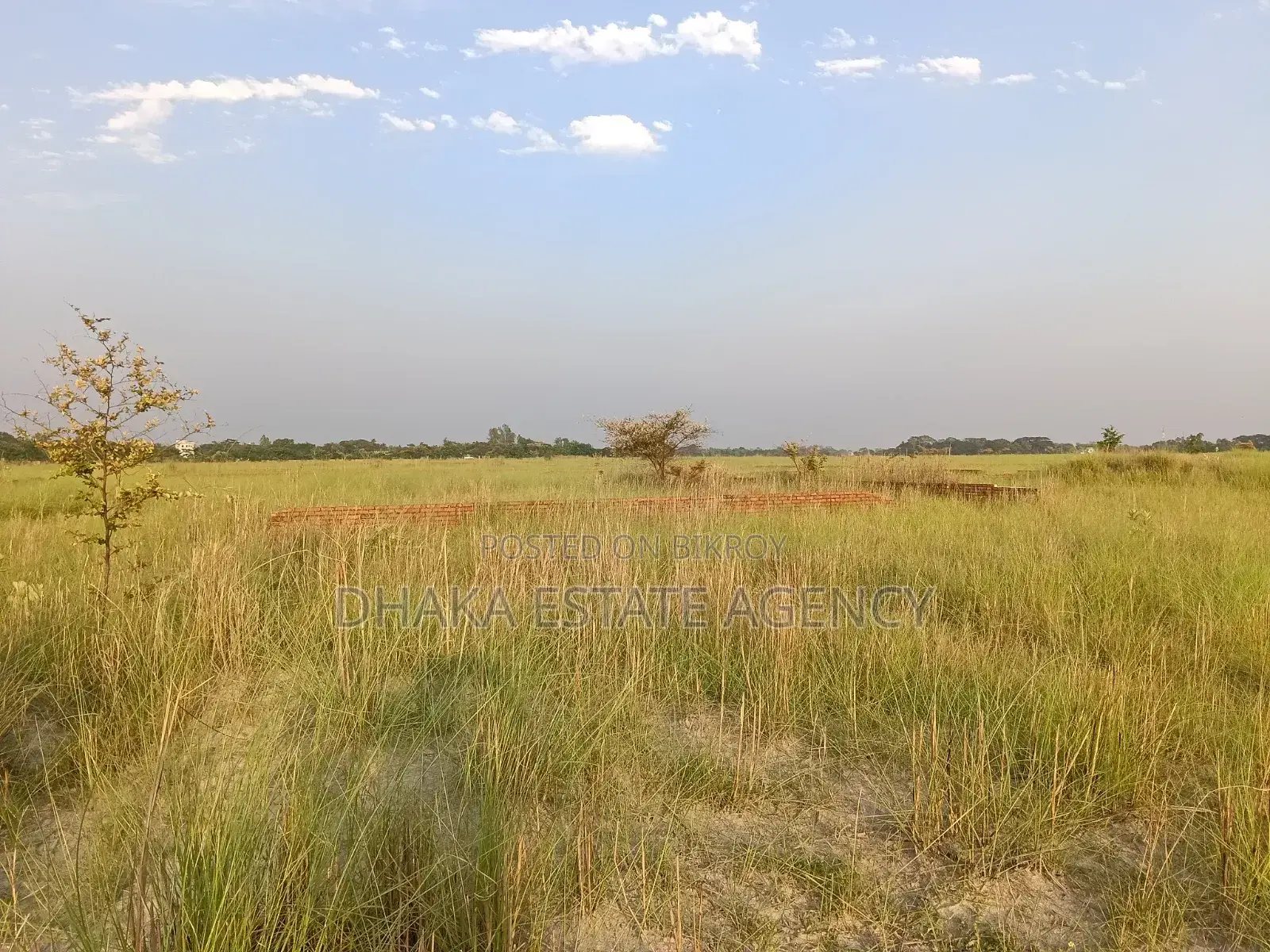 P-Ext, Block, 5 Katha South Facing Plot Sale in Basundhara