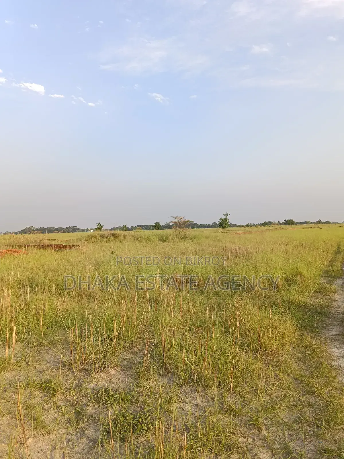 Urgent P-Ext, 4 Katha Plot Sale in Basundhara