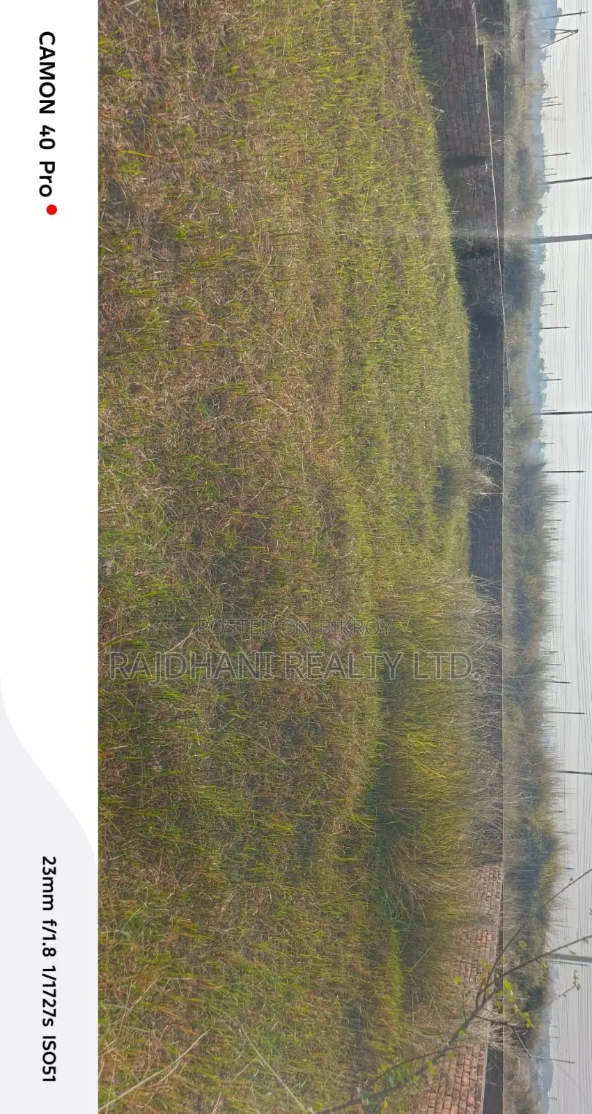 5 Katha Ready Plot for Sale in Block N, Bashundhara R/A in Basundhara