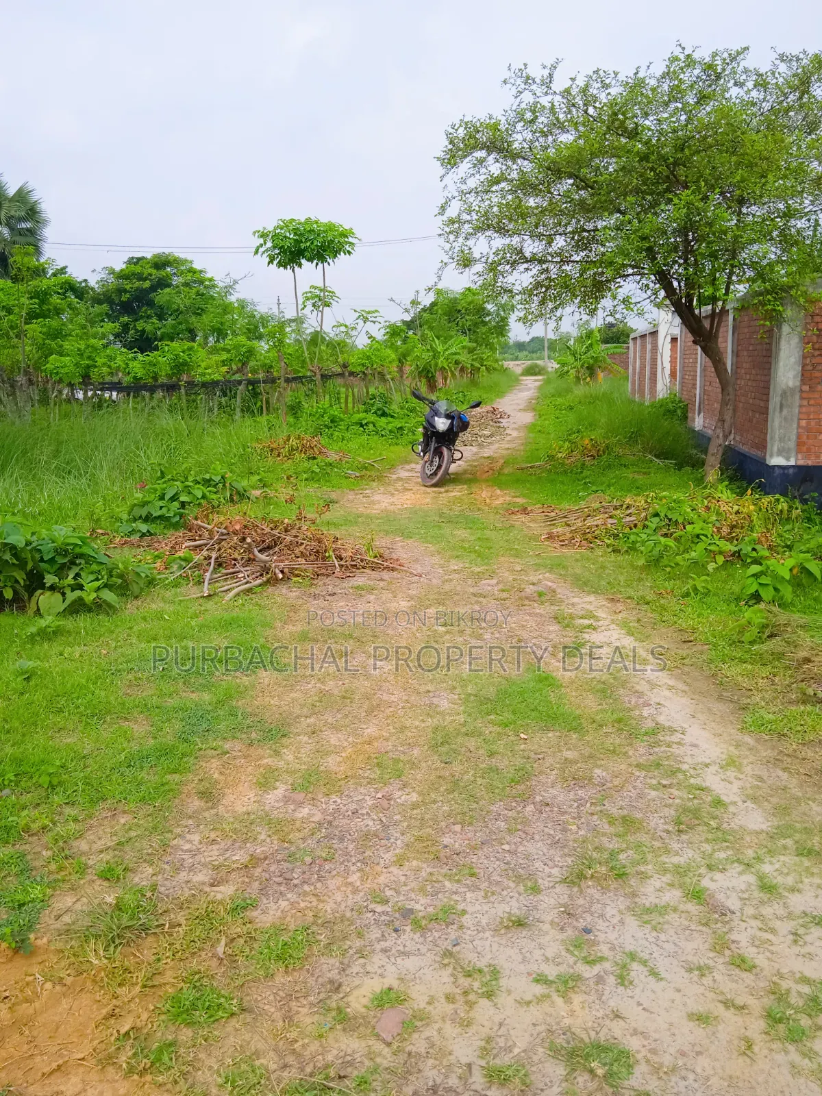 60 Decimal Land for Sale Suitable for Residential/Commercial Projects in Purbachal