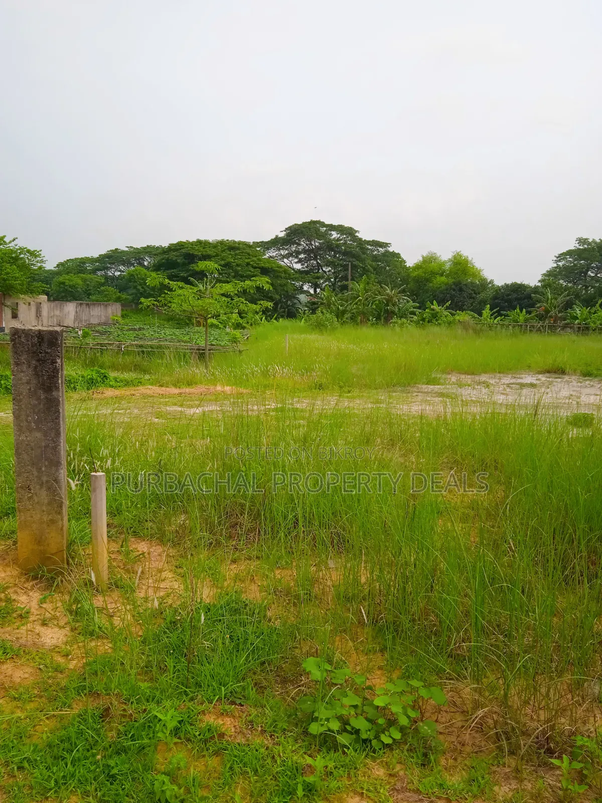 60 Decimal Land for Sale Suitable for Residential/Commercial Projects in Purbachal