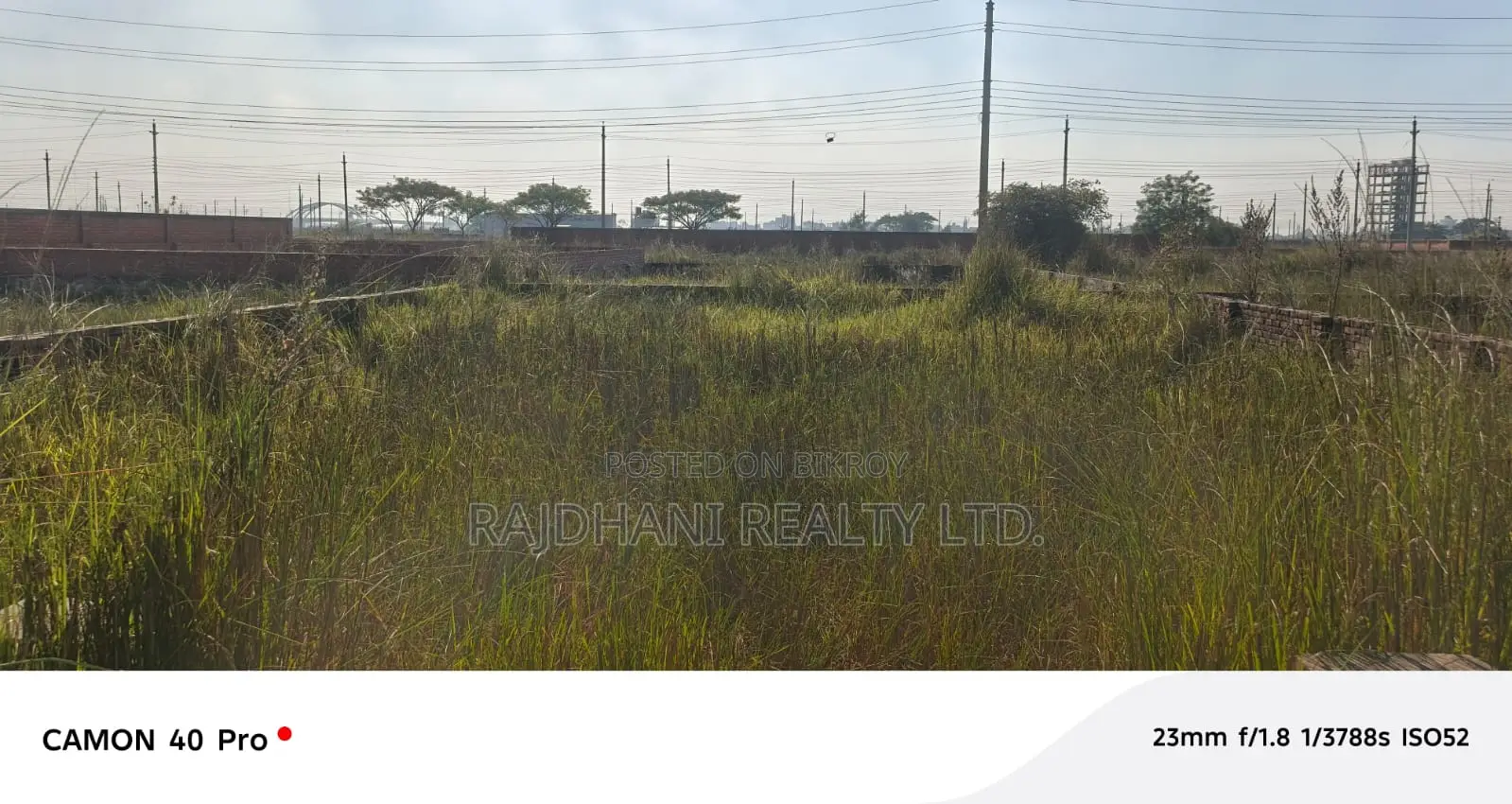 Excellent 10 Katha Plot for Sale | P Block, Bashundhara R/A in Basundhara