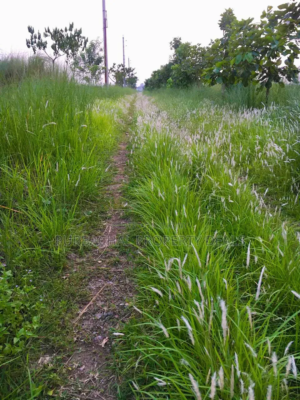 3 Katha Ready Plot for Sale at Sunvalley Project by Swadesh Properties in Badda