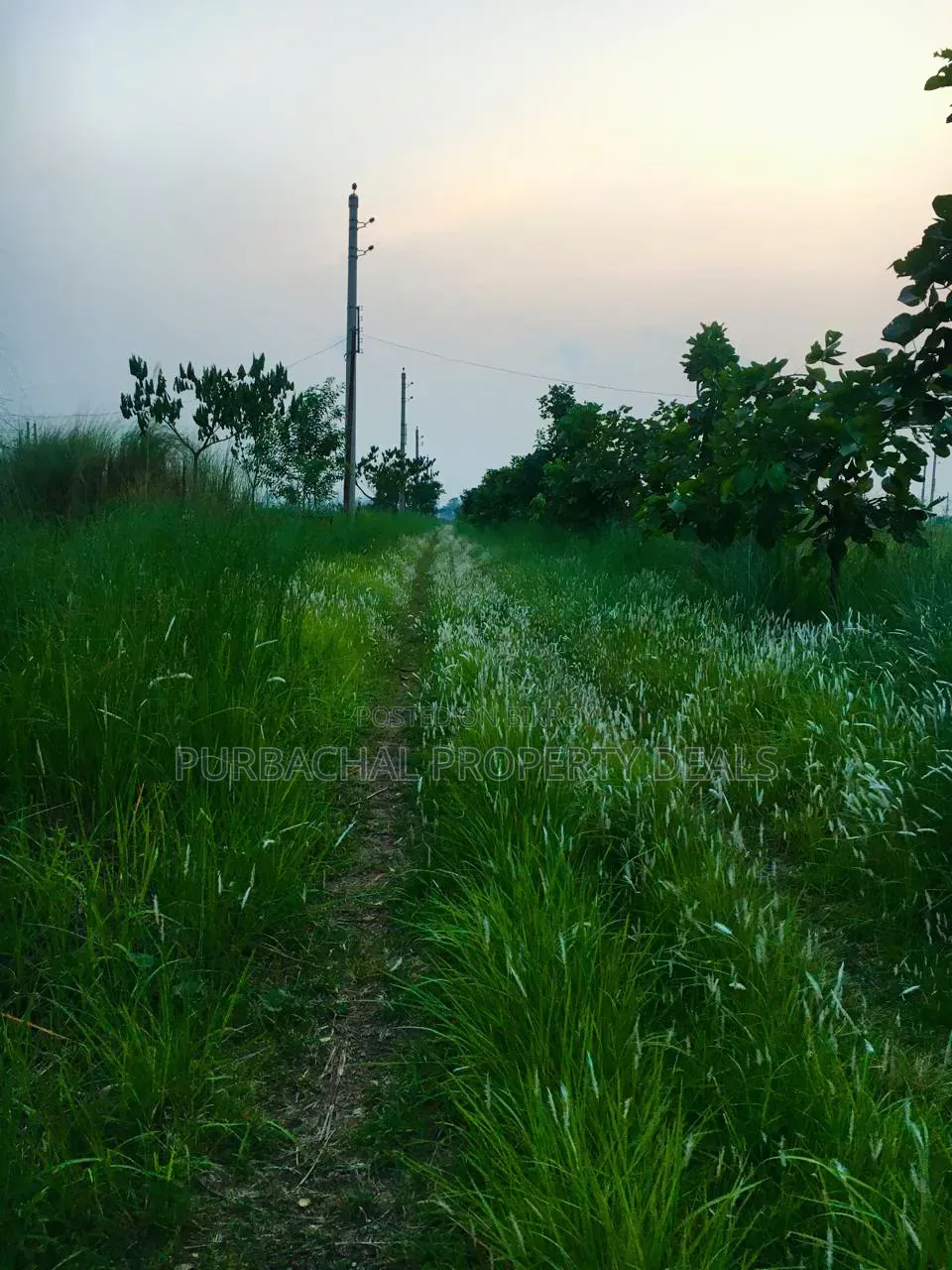 3 Katha Ready Plot for Sale at Sunvalley Project by Swadesh Properties in Badda