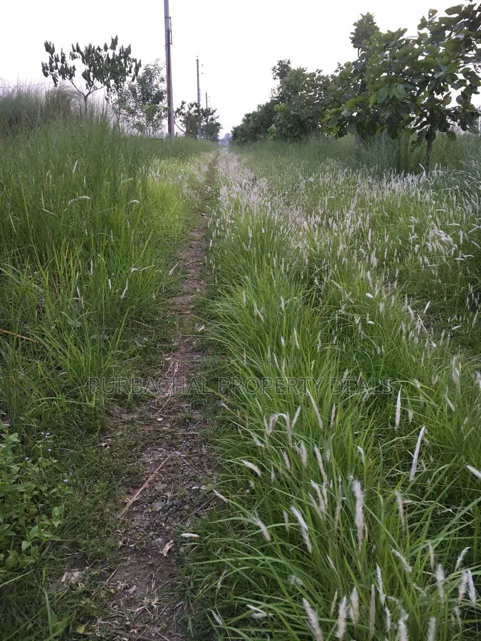 3 Katha Ready Plot for Sale at Sunvalley Project by Swadesh Properties in Badda