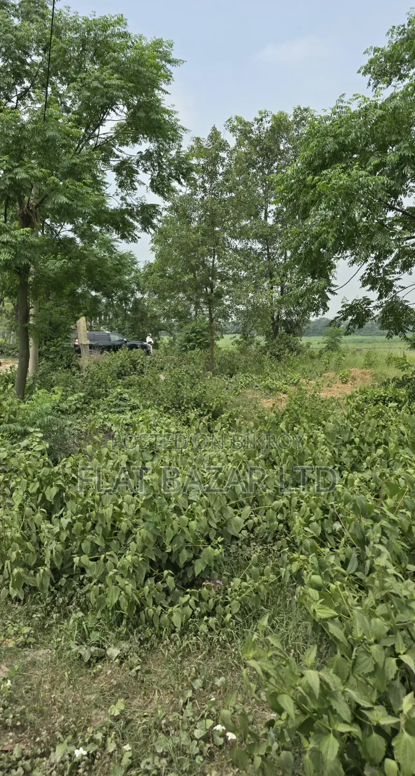 112 Decimal Land Sale in Kaliganj