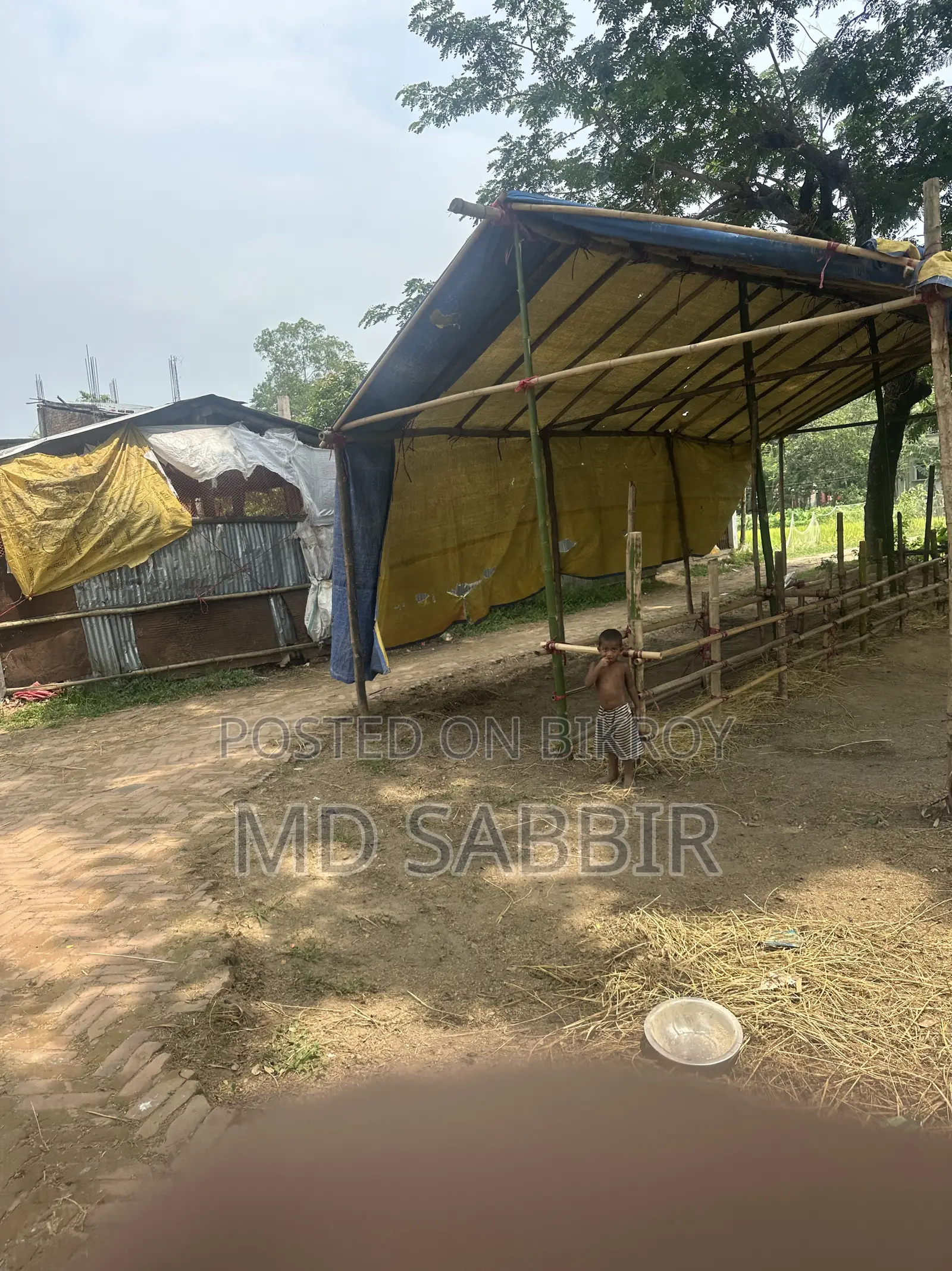 land for sell in Rangunia