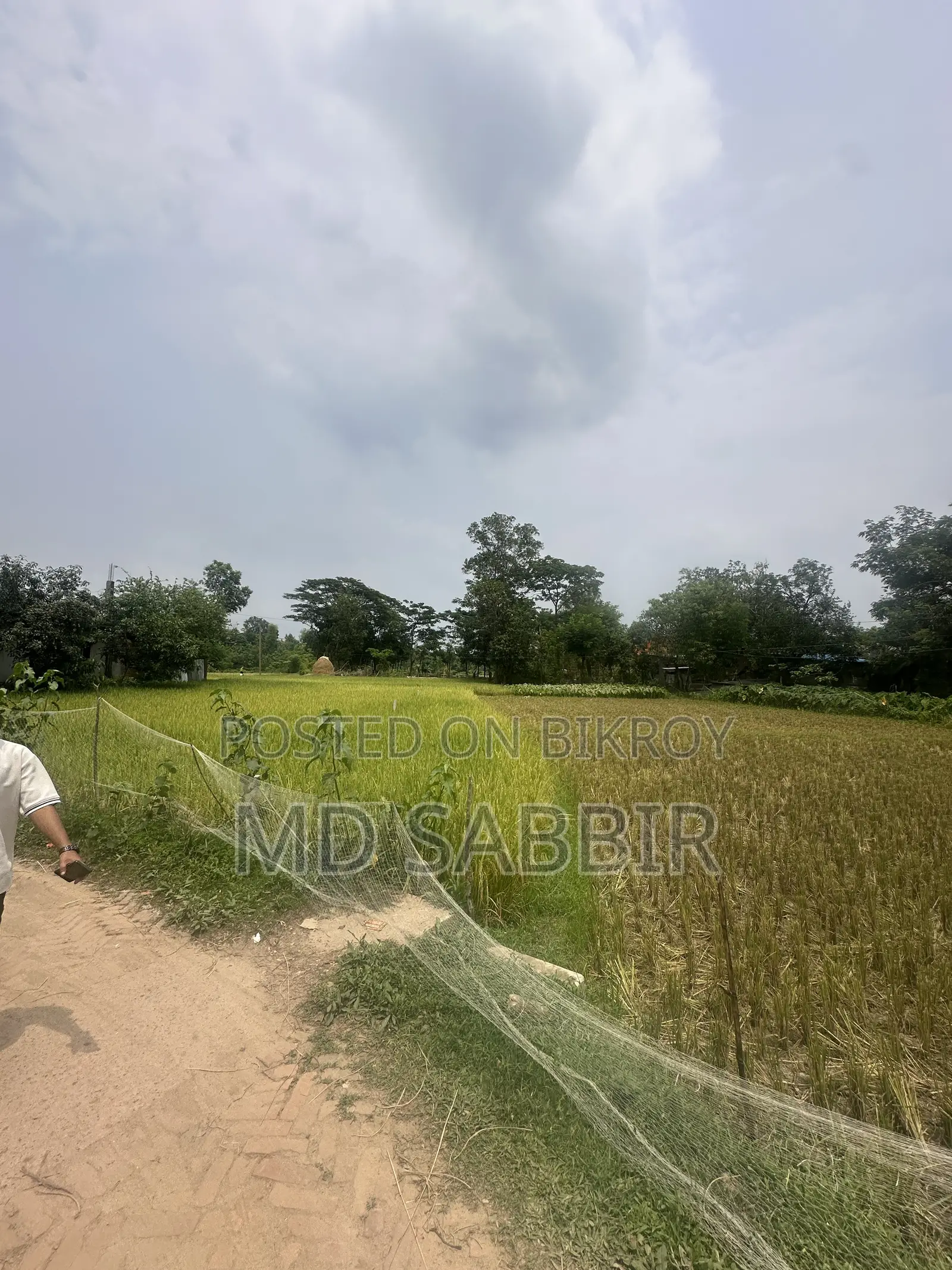 land for sell in Rangunia