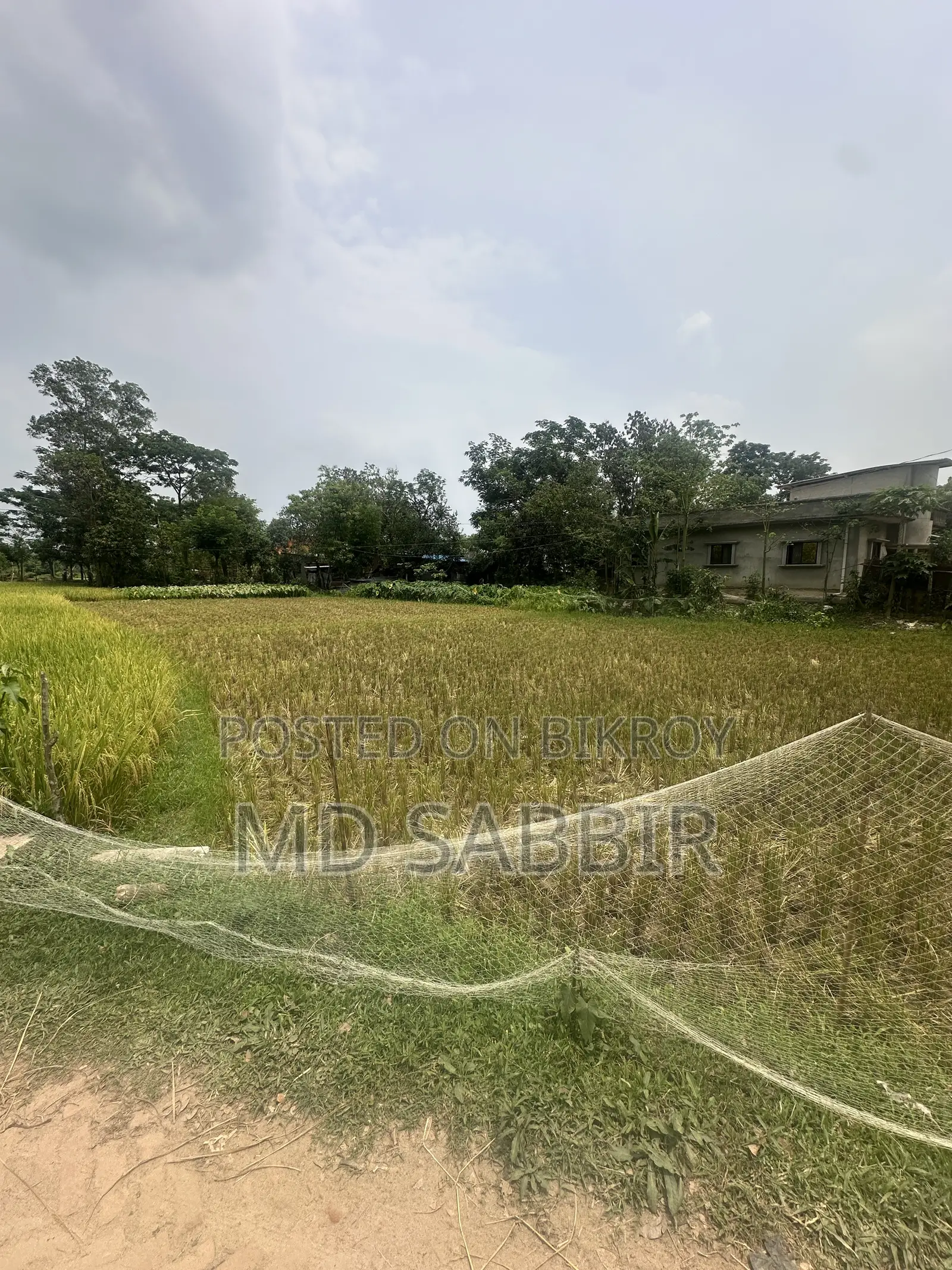 land for sell in Rangunia