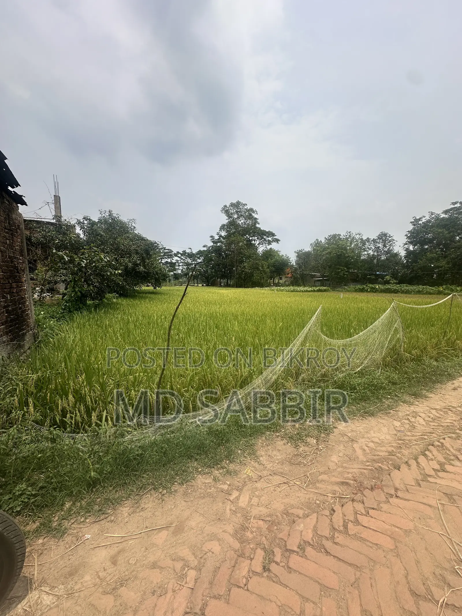 land for sell in Rangunia