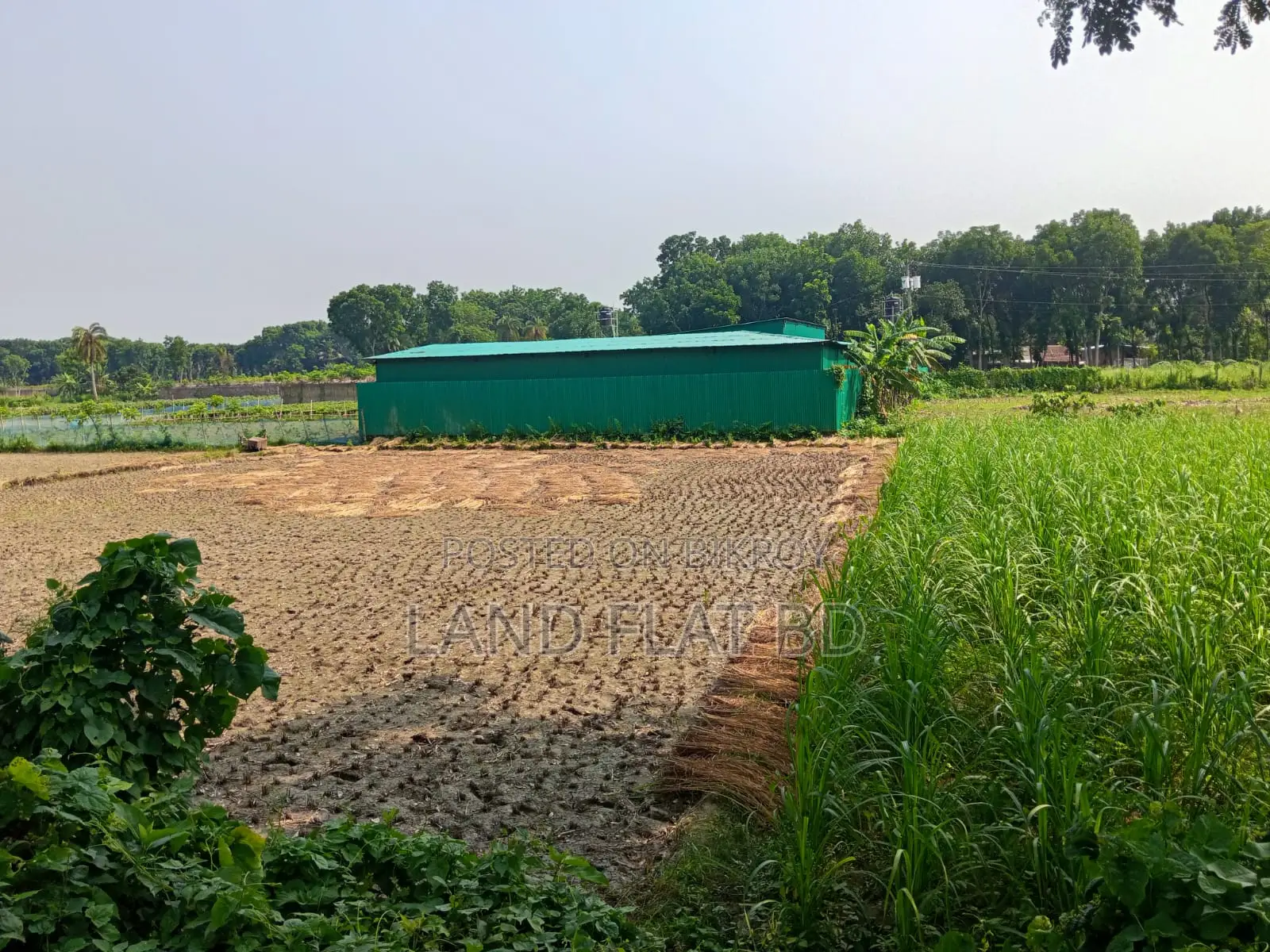 5bdrm House in Bari, Kaliganj for Sale in Kaliganj