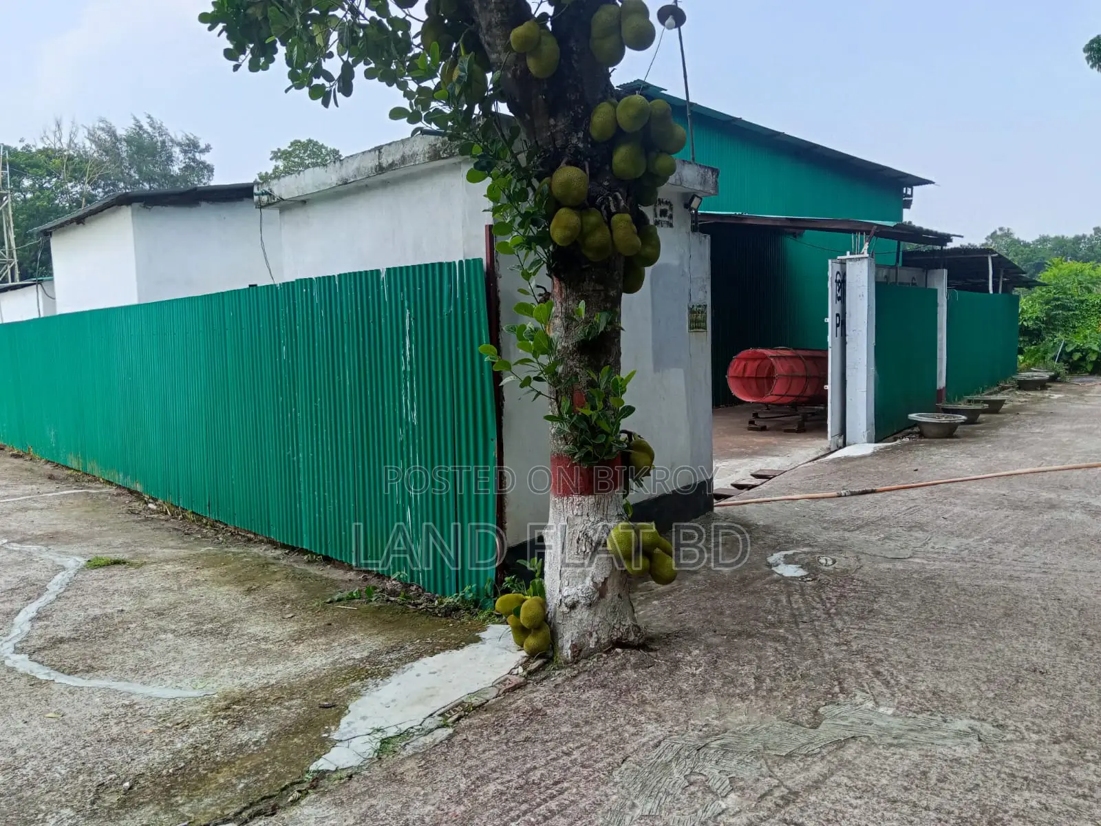 5bdrm House in Bari, Kaliganj for Sale in Kaliganj