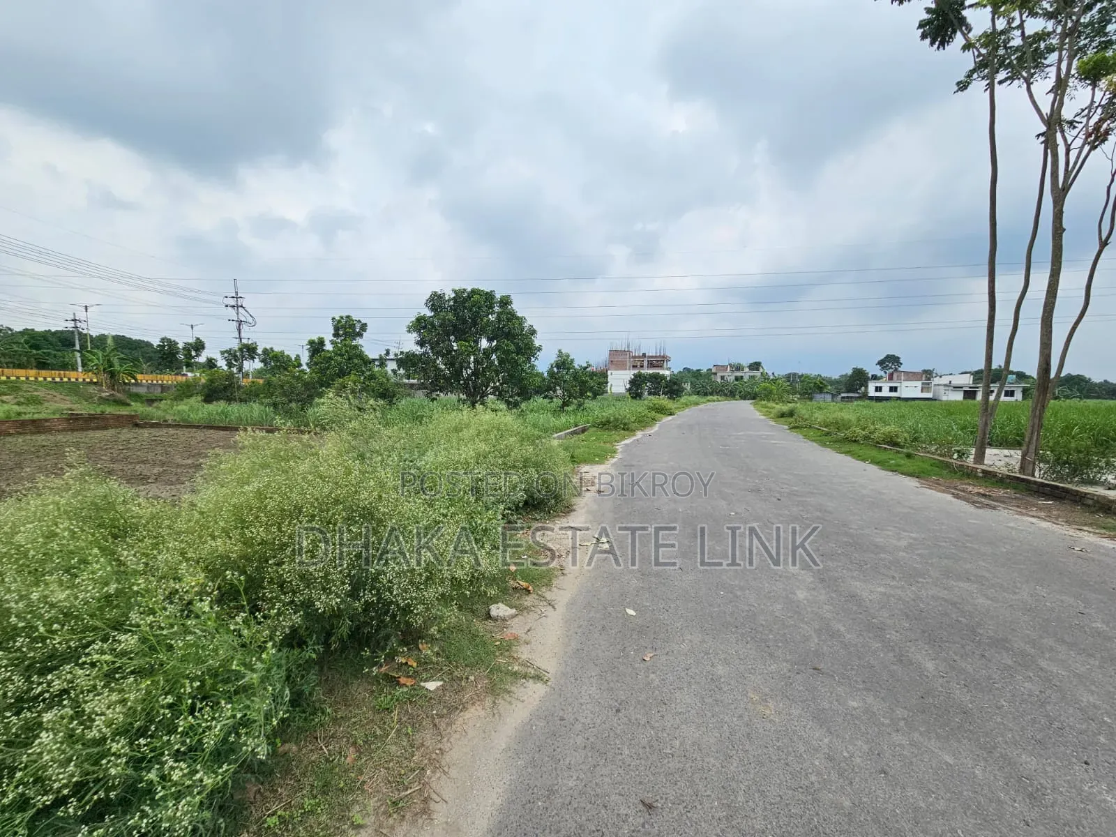 5 Katha Land for Sale Near City Heart Bypass Road in Laksimipur