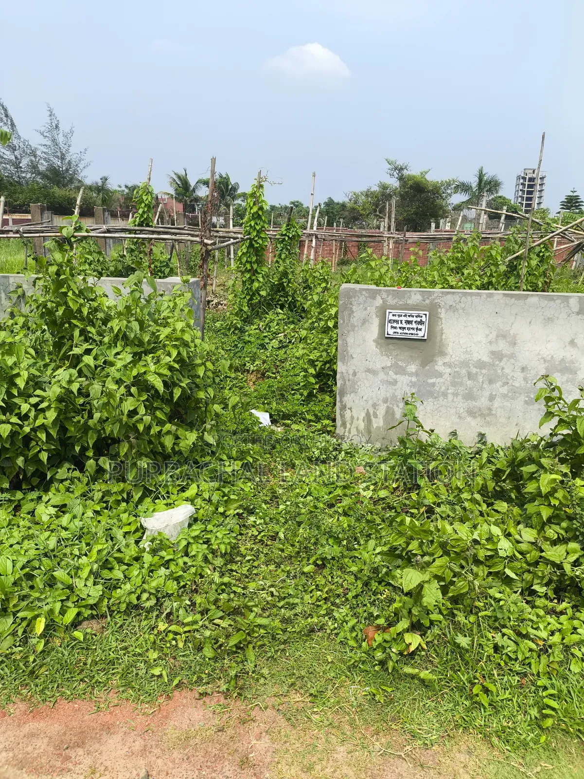 Sector:13, Eastface Prime Location 3 Katha Plot Urgent Sale in Purbachal in Purbachal