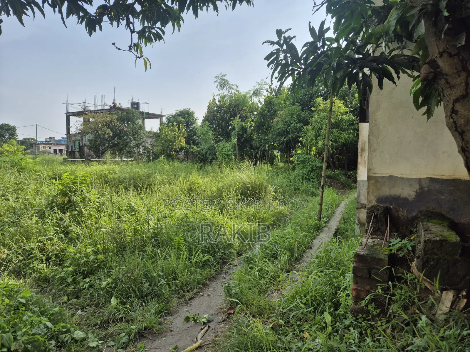 Land for sale 4 decimals near Paity Government School in Demra