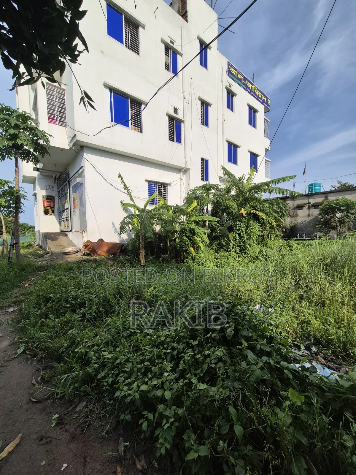 Land for sale 4 decimals near Paity Government School in Demra