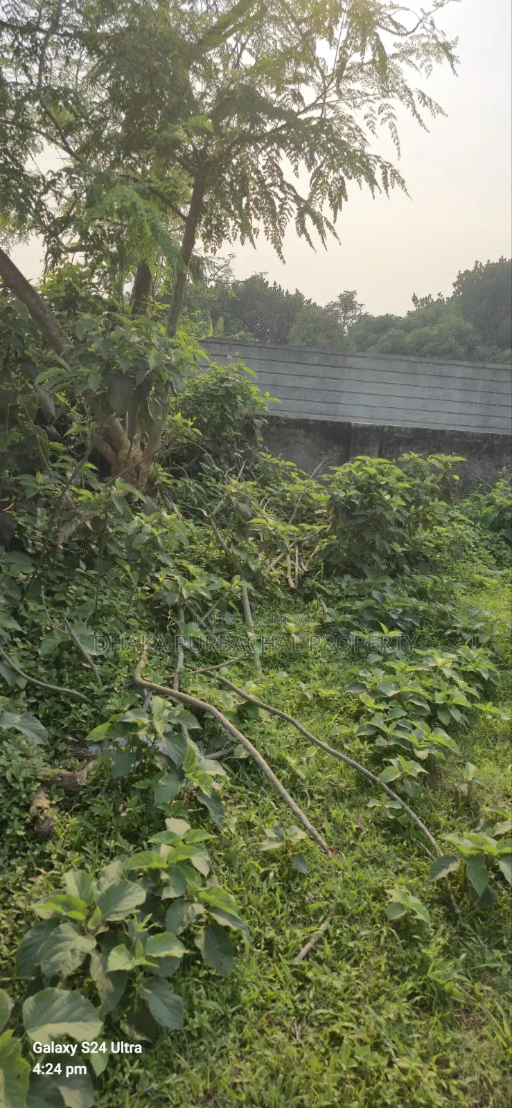 10 Katha Allotted Plot Sell in Purbachal