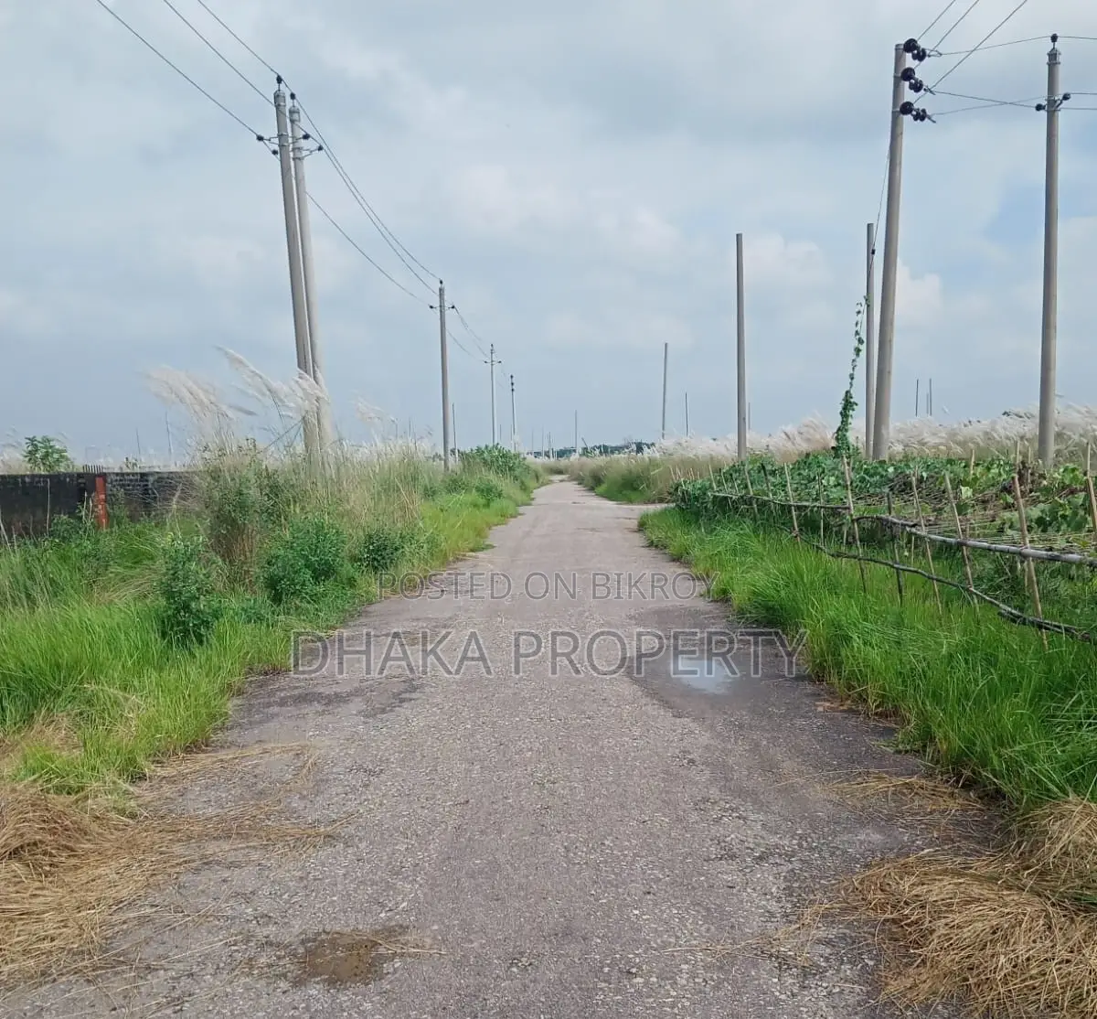 3 Katha East Facing Plot Near Park Sector-22 in Purbachal