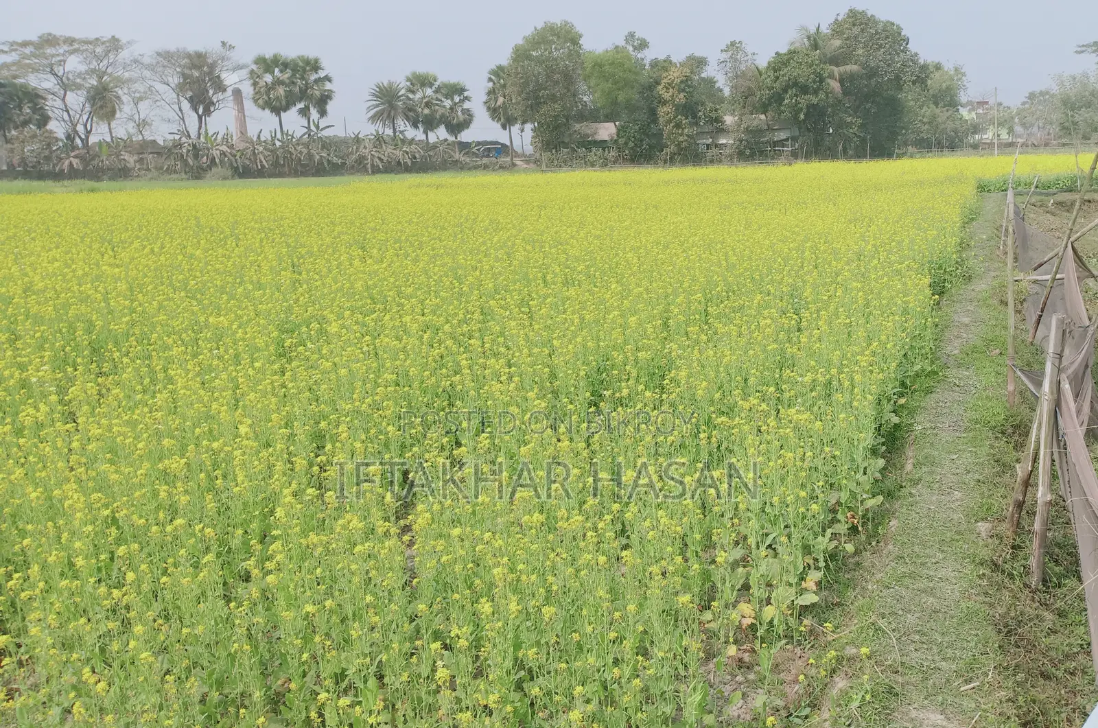 35 Shotok Premium Land for Sale in Rupganj