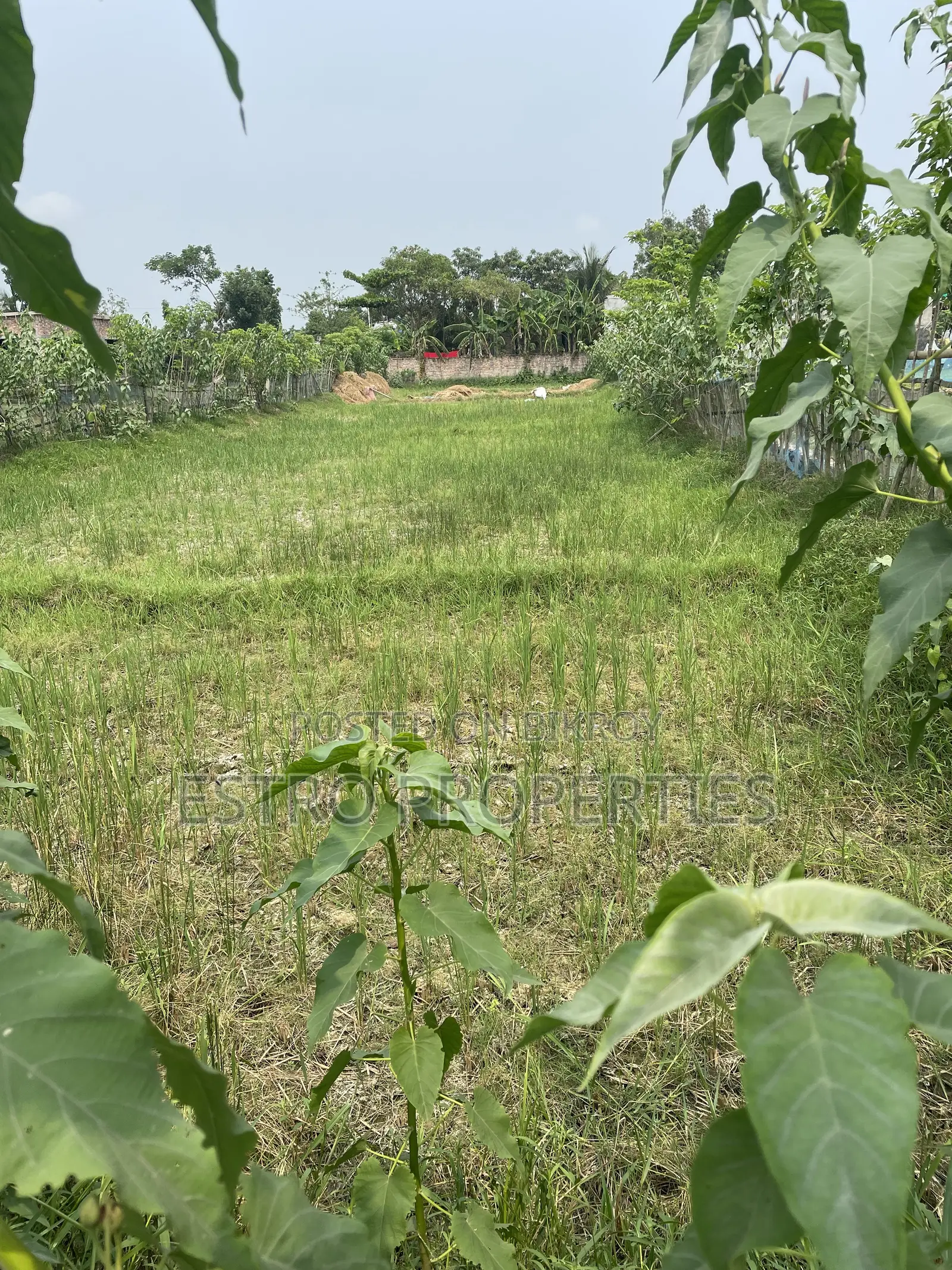8 katha land for sale in Darogarvita area, Khulna in Khulna
