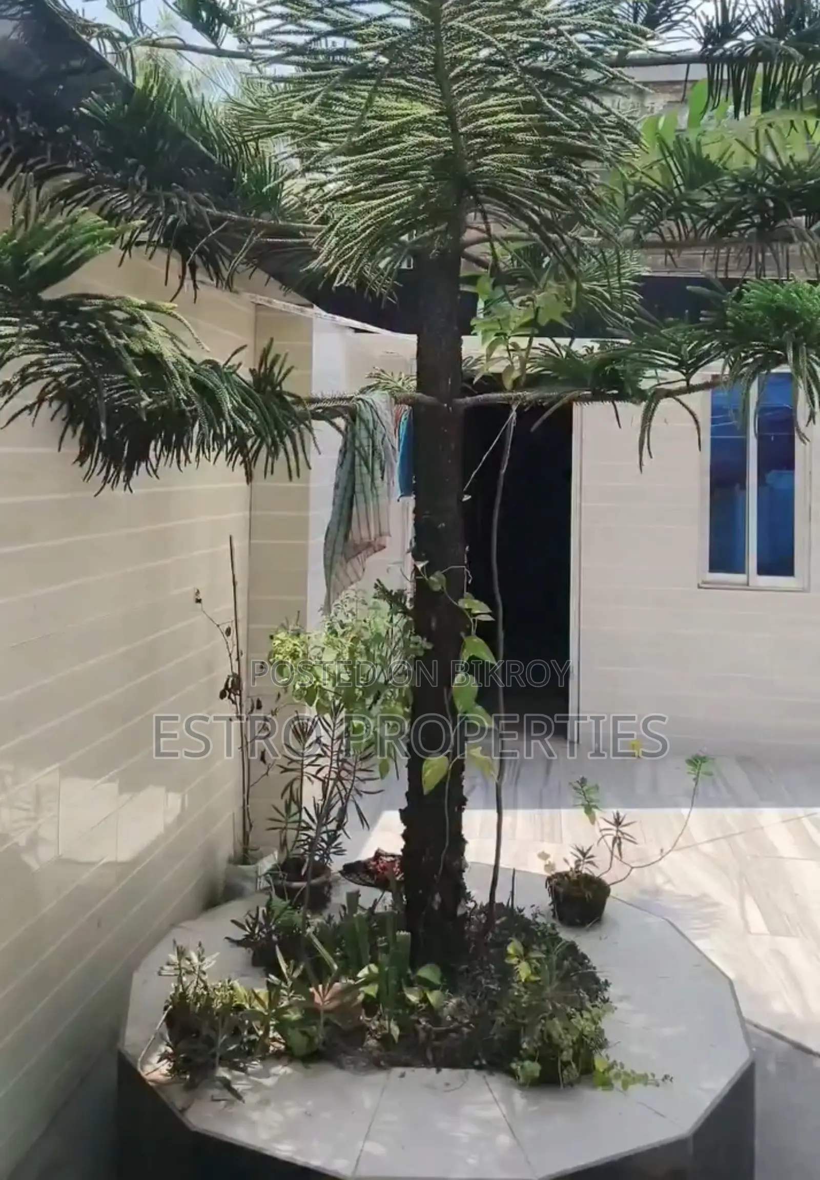 Furnished 3-bedroom Apartment in Khulna for Sale in Khulna