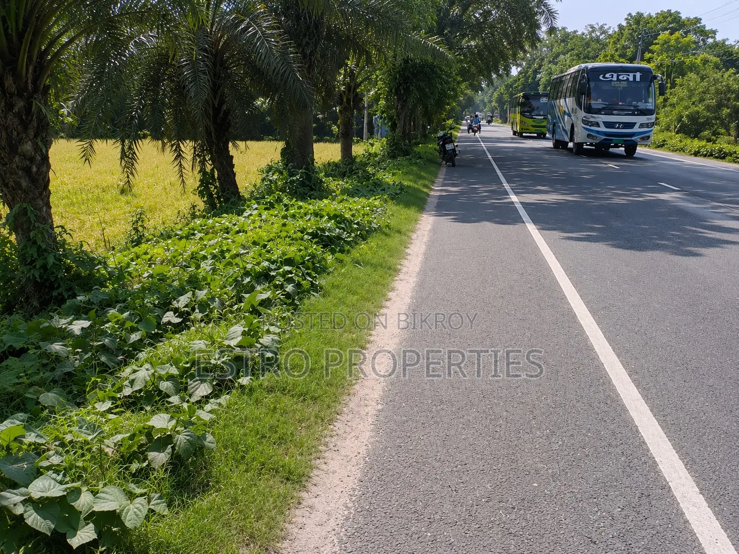 6 Bigha land at Kudir Bottola, Khulna at 58 Lakh per Bigha on the highway in Khulna