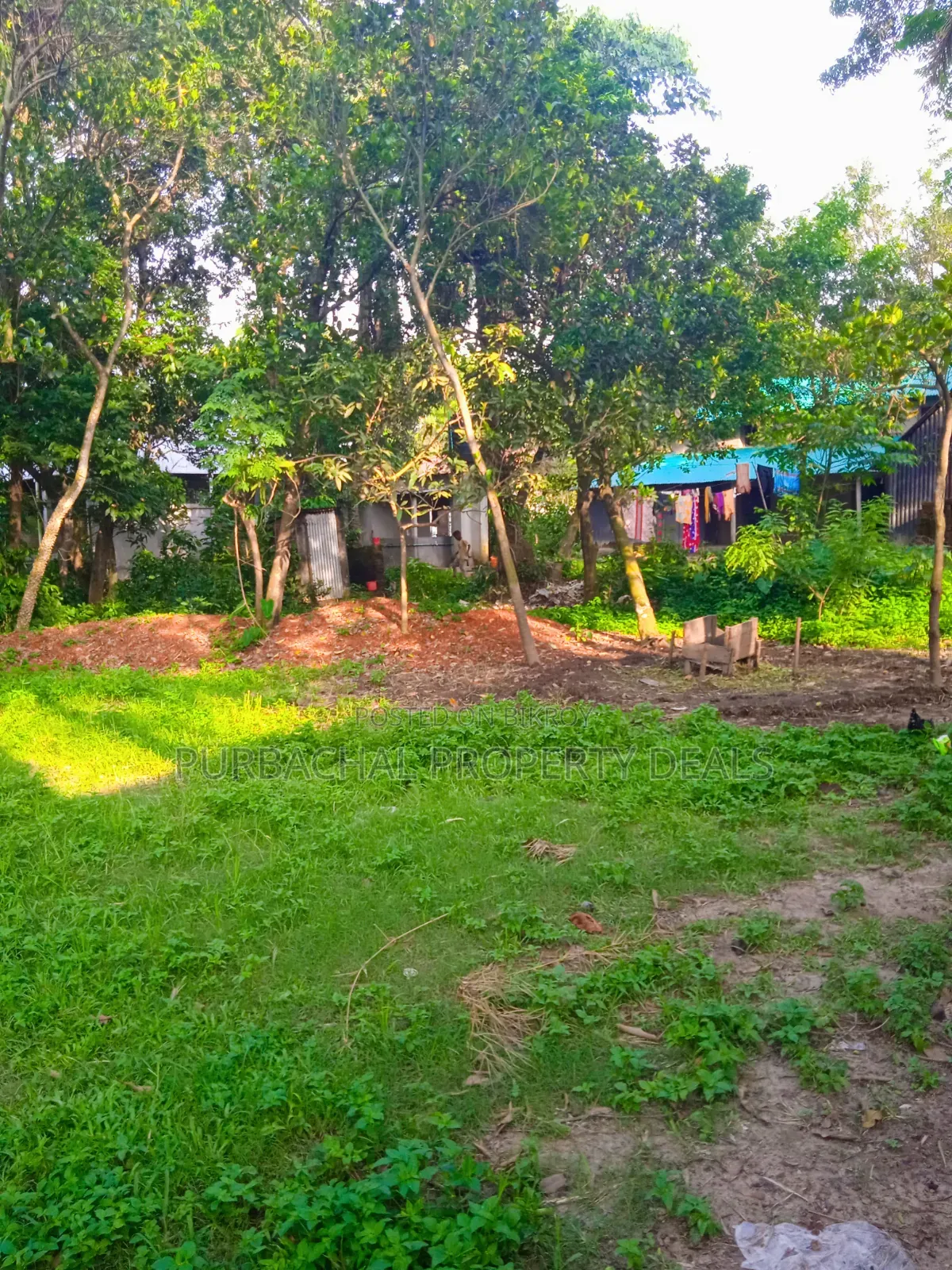 12 Decimal Land for Sale with Mud House and Complete Documents in Rupganj