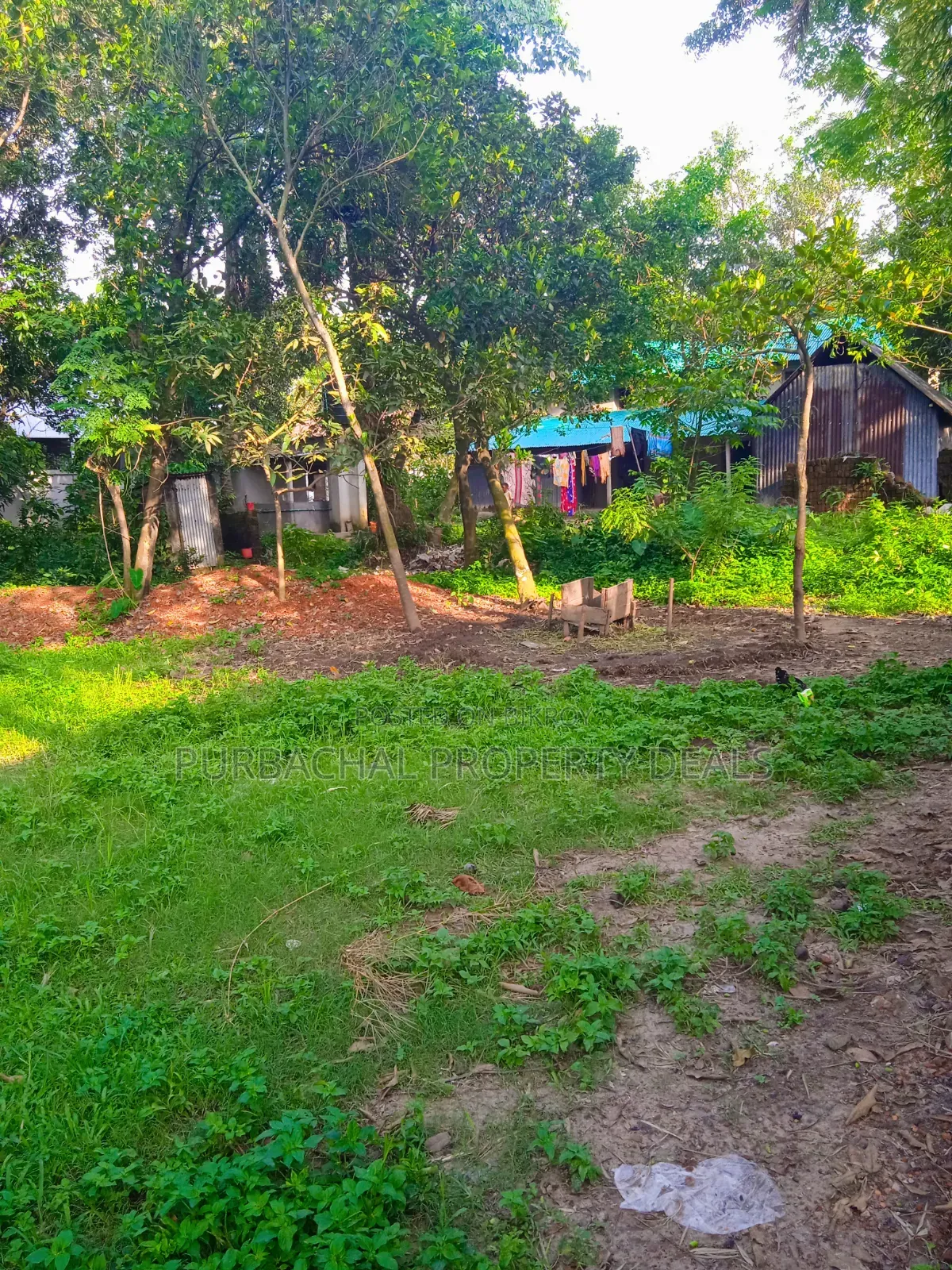 12 Decimal Land for Sale with Mud House and Complete Documents in Rupganj