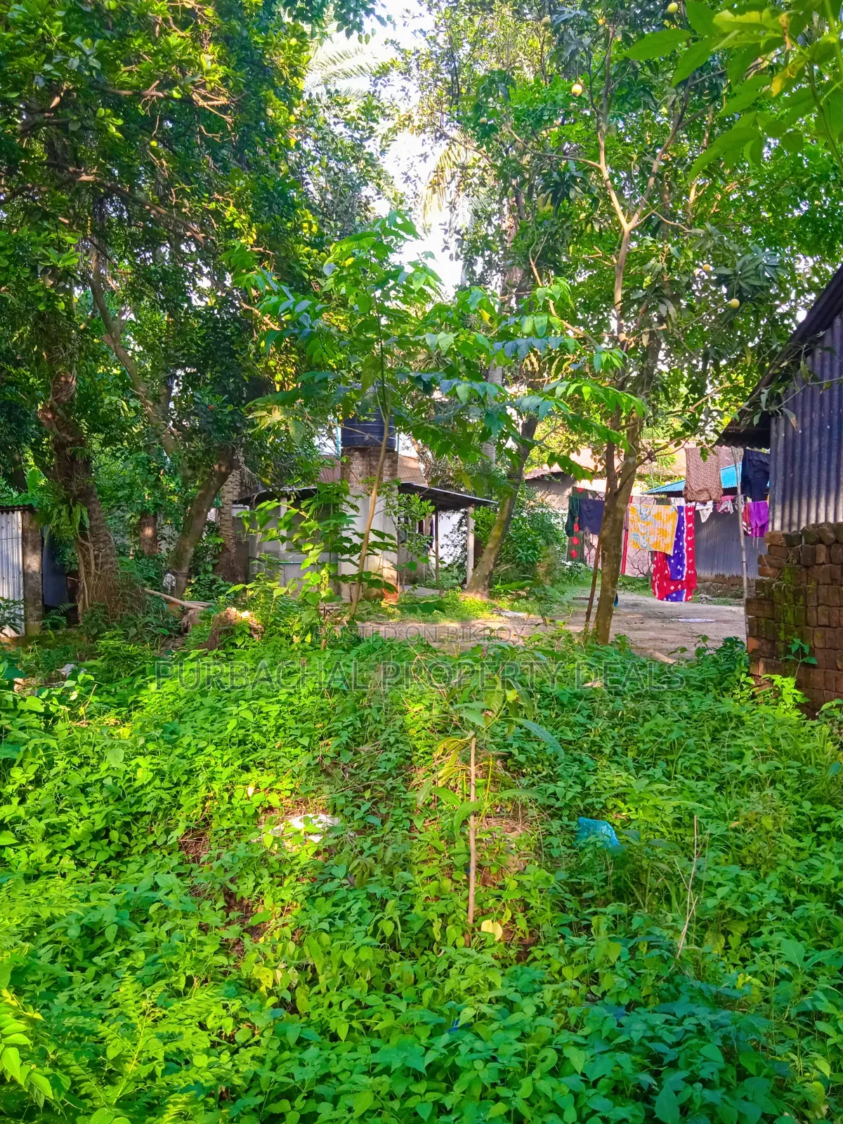 12 Decimal Land for Sale with Mud House and Complete Documents in Rupganj