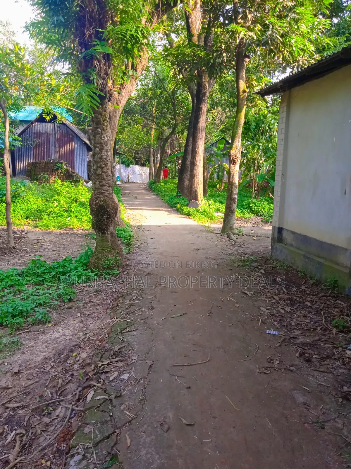 12 Decimal Land for Sale with Mud House and Complete Documents in Rupganj
