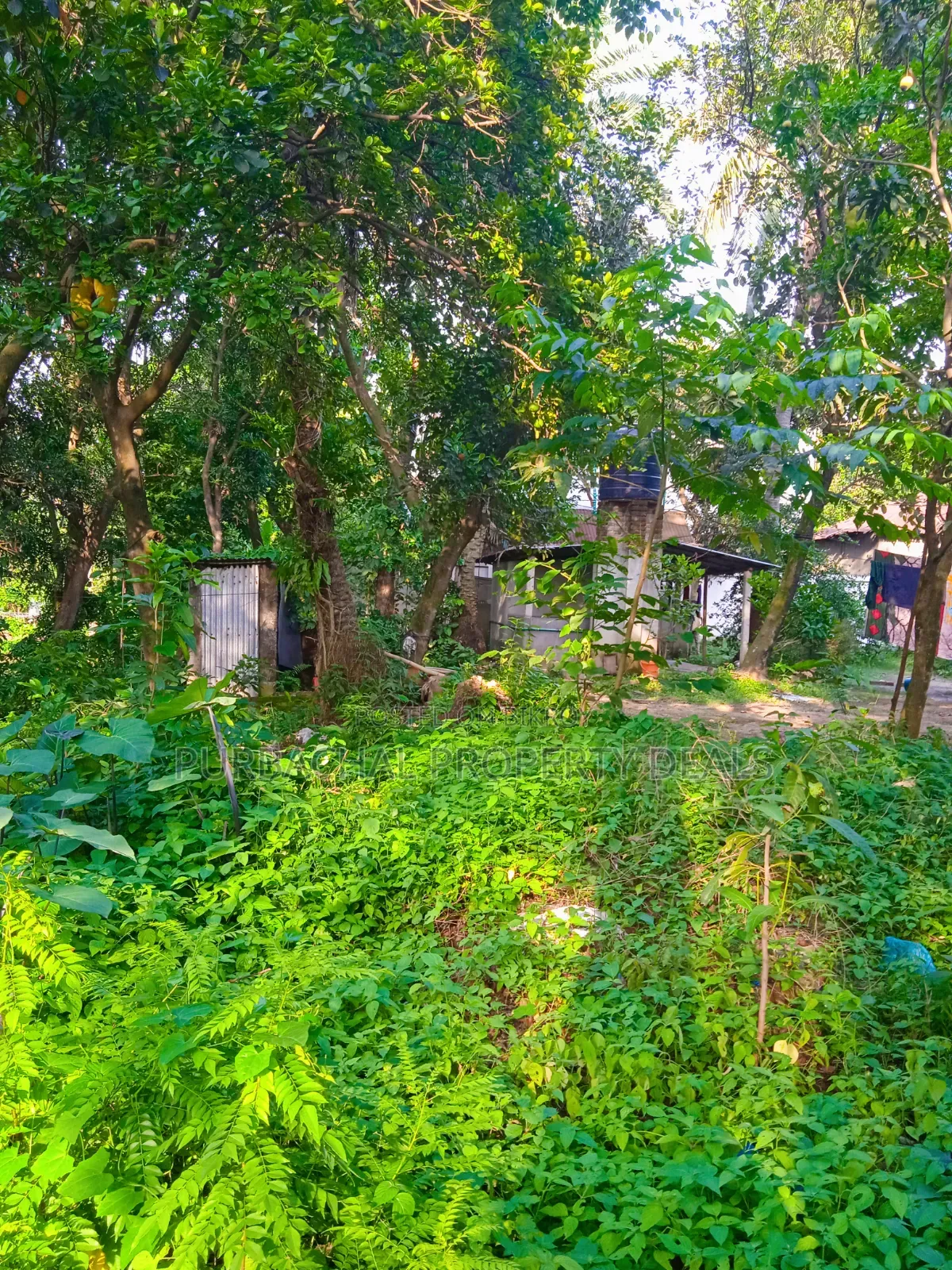 12 Decimal Land for Sale with Mud House and Complete Documents in Rupganj