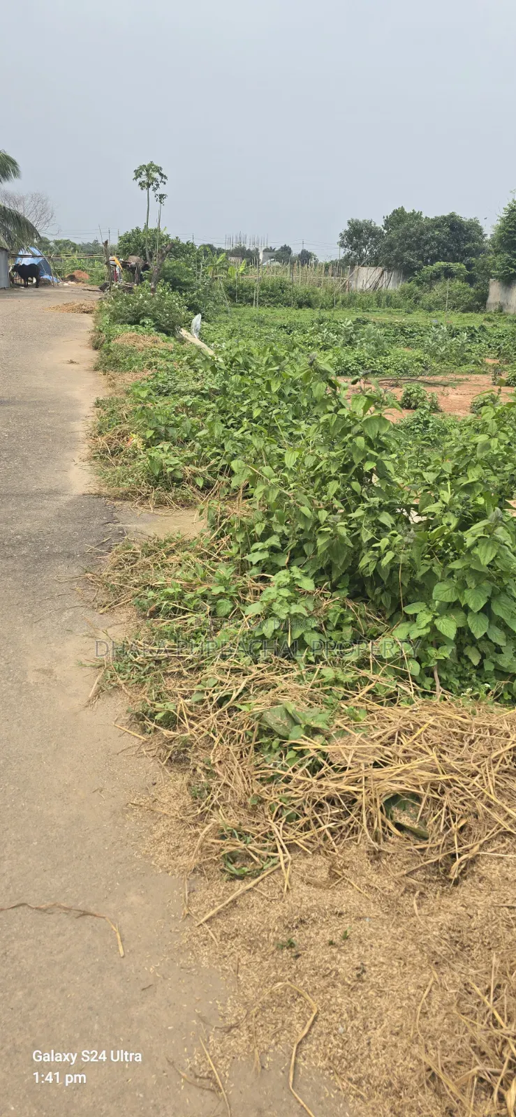 Rajuk Purbachal Sector -11, Allottee Plot 5 Katha in Purbachal