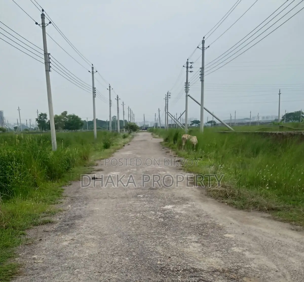 South-facing 5 Katha Plot for Sale, Sector-16/D Block in Uttara