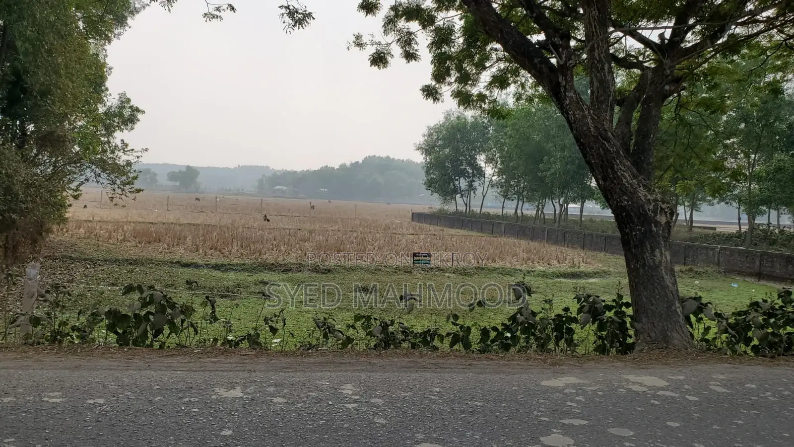 Land for sale adjacent to Airport-Haripur Road near Sylhet city in Sylhet Sadar