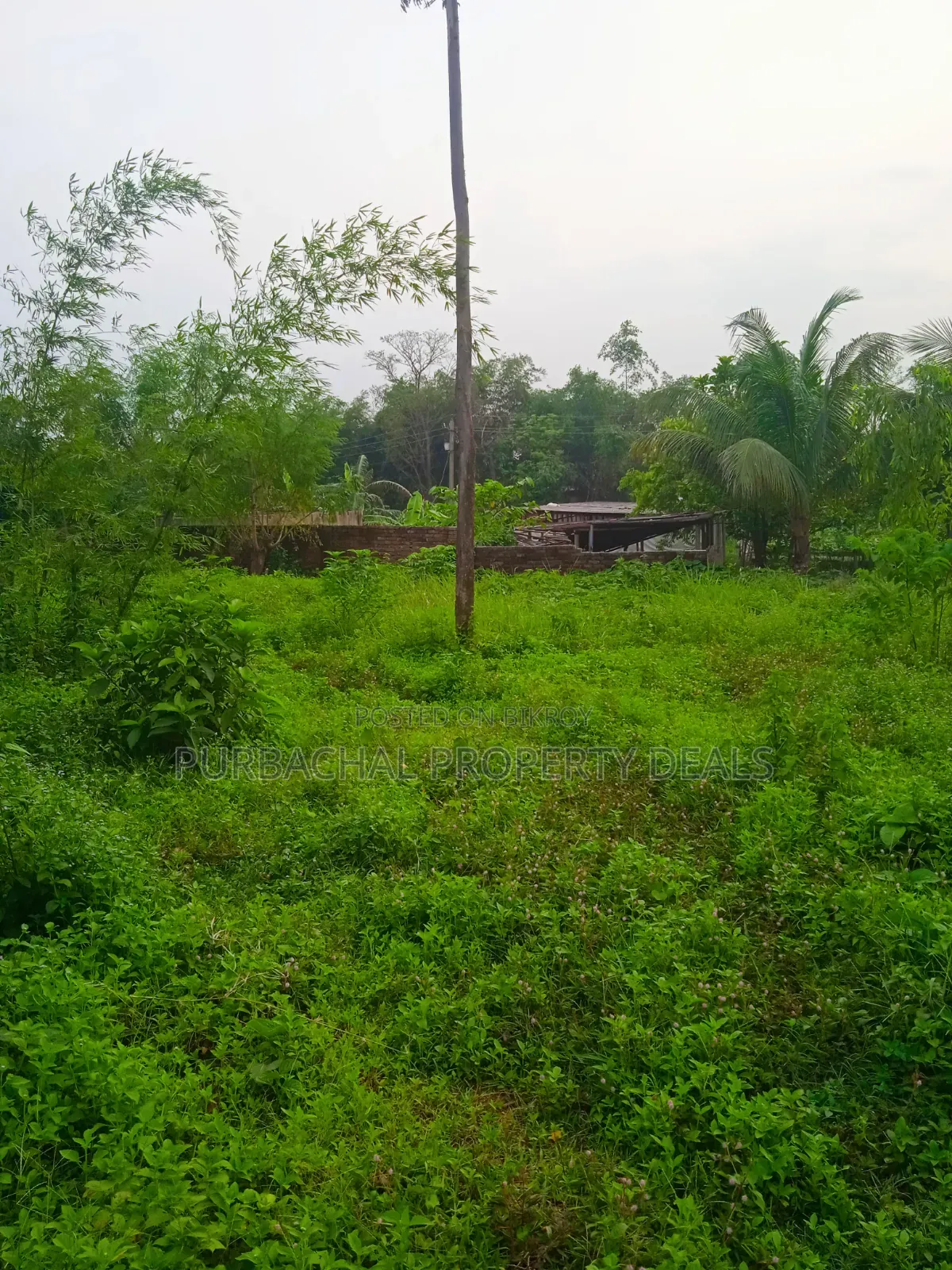 13.50 Decimal Riverfront Land for a Luxury Resort Development Project in Purbachal