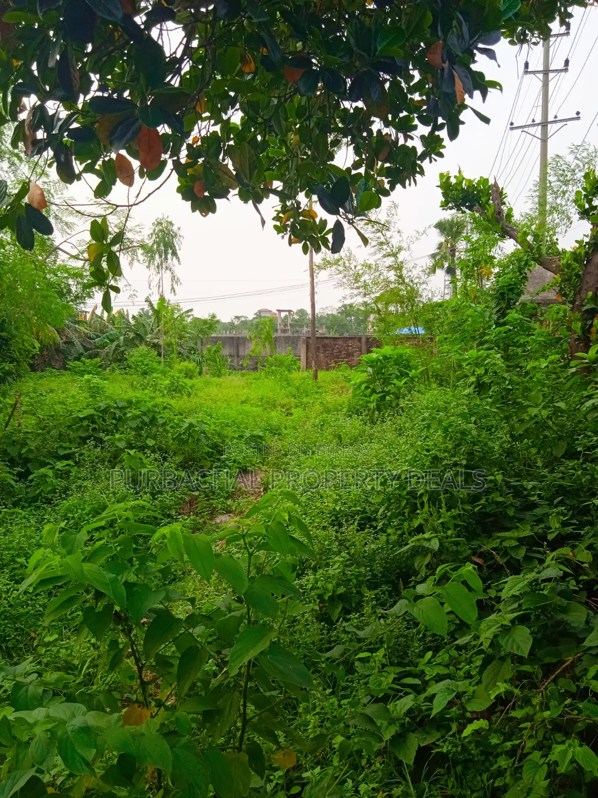 13.50 Decimal Riverfront Land for a Luxury Resort Development Project in Purbachal