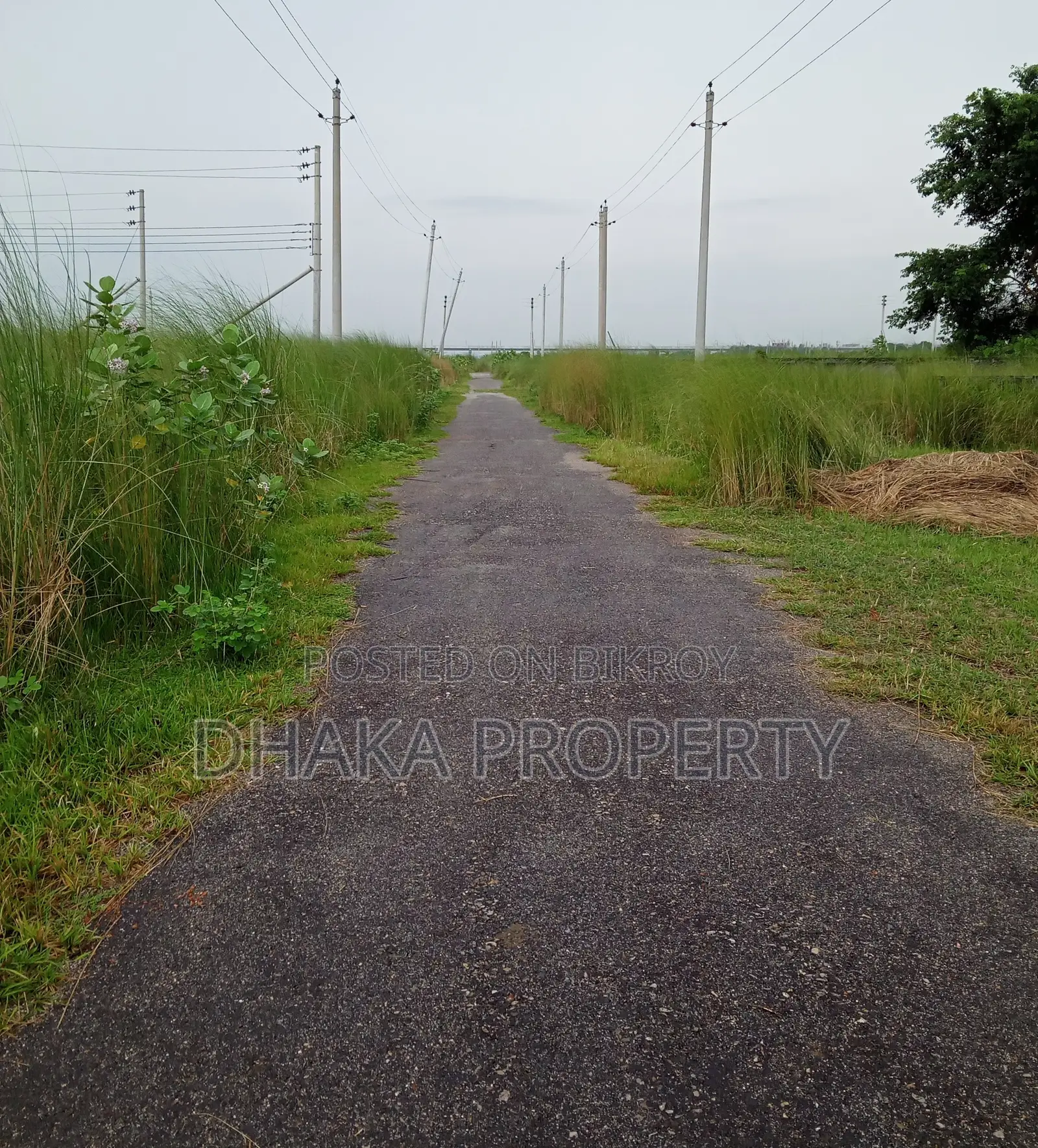 On 30ft Road, 3 Katha, Lake East at Sector-20 in Purbachal