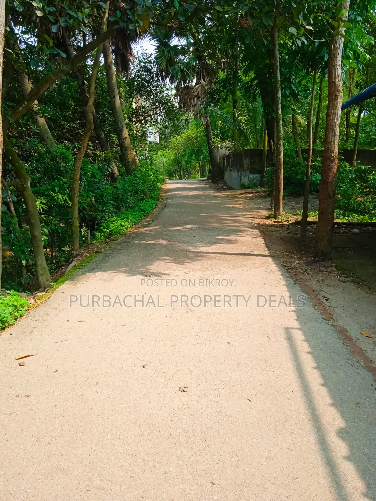 90 decimal land in Purbachal suitable for garden house or farm house at low price in Purbachal