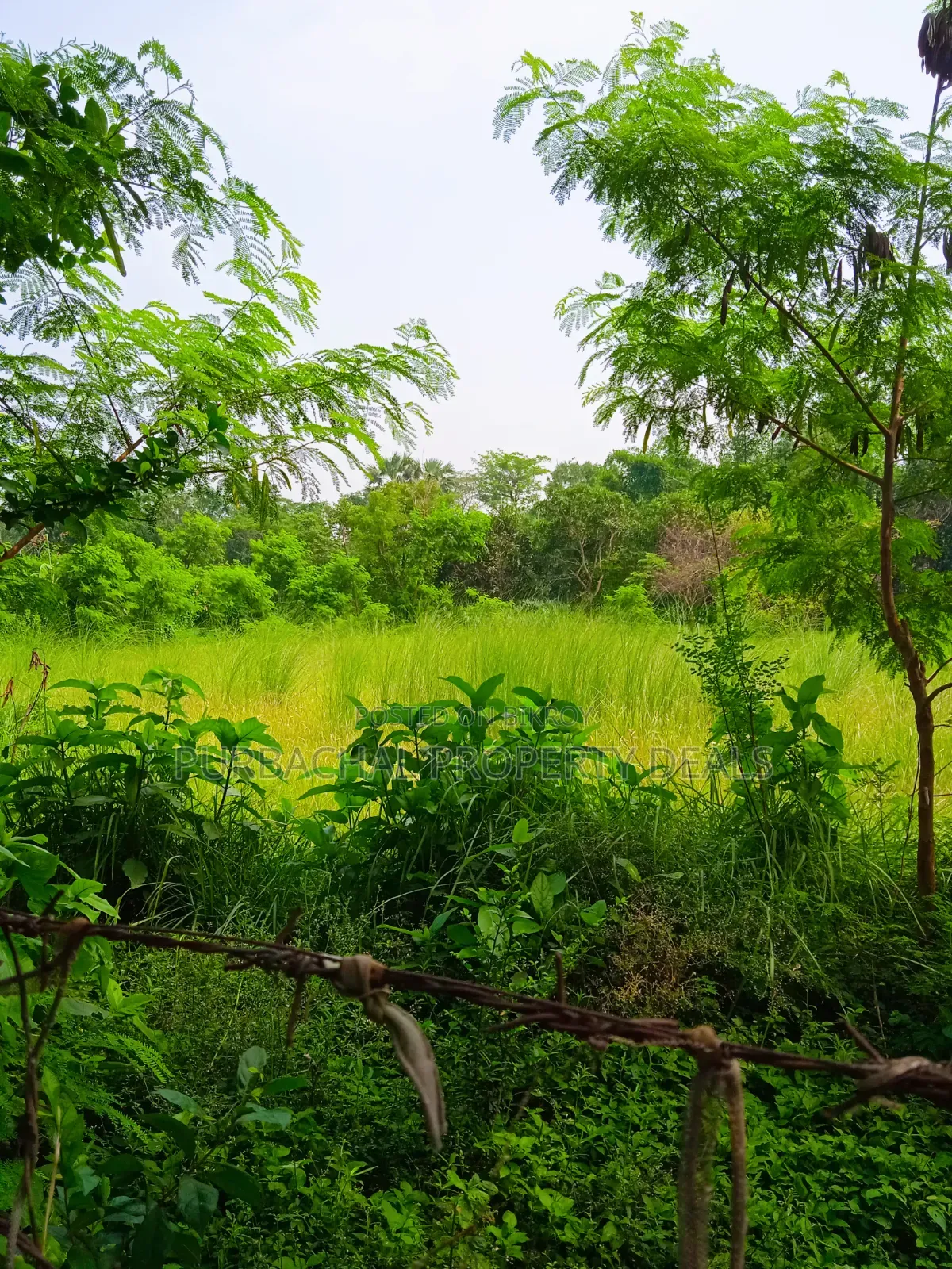90 decimal land in Purbachal suitable for garden house or farm house at low price in Purbachal