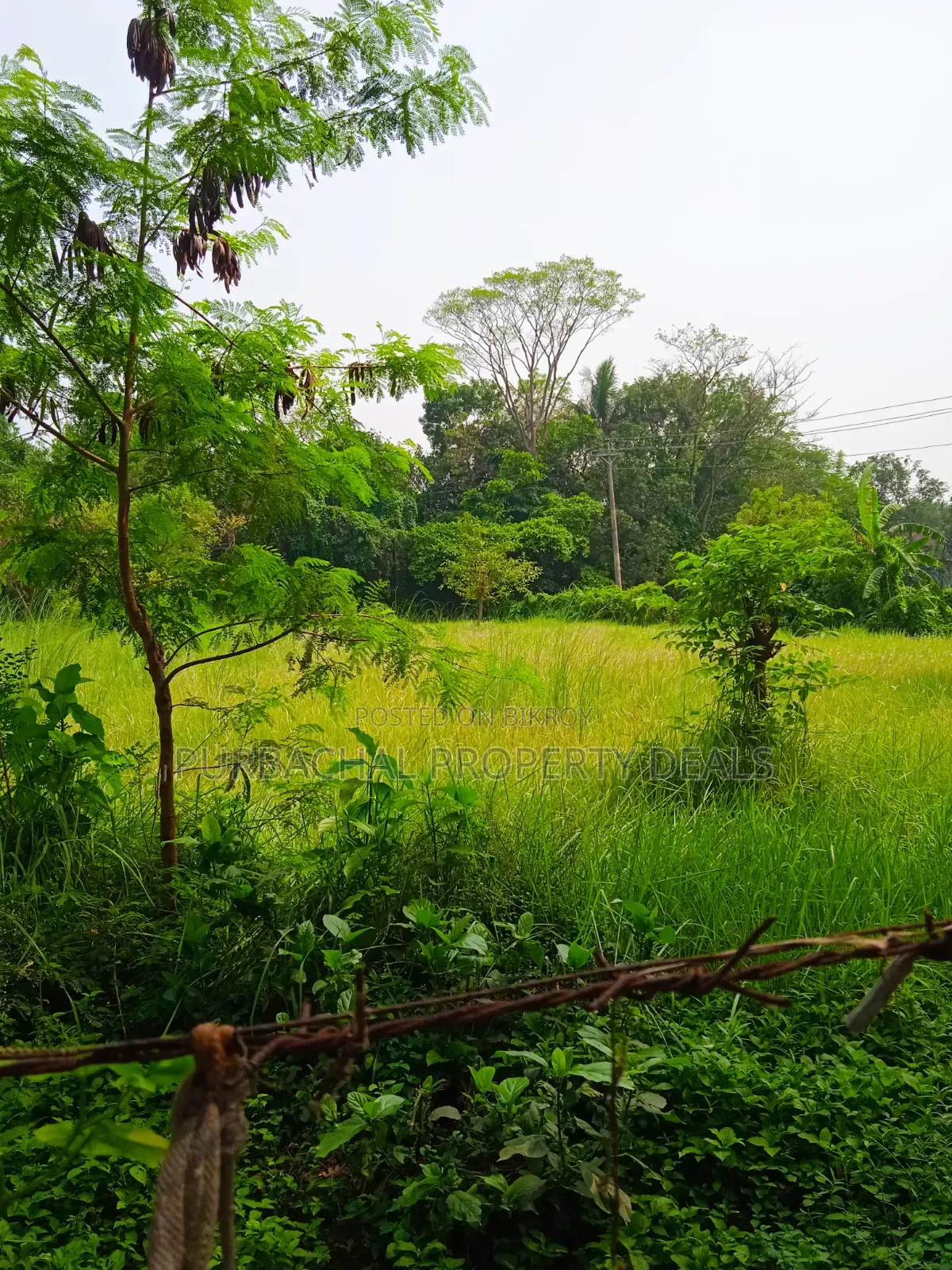 90 decimal land in Purbachal suitable for garden house or farm house at low price in Purbachal