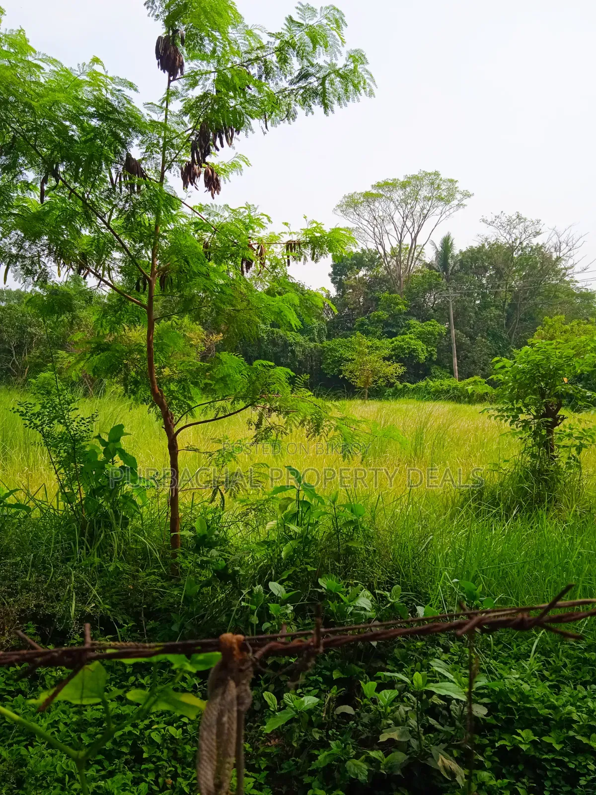 90 decimal land in Purbachal suitable for garden house or farm house at low price in Purbachal
