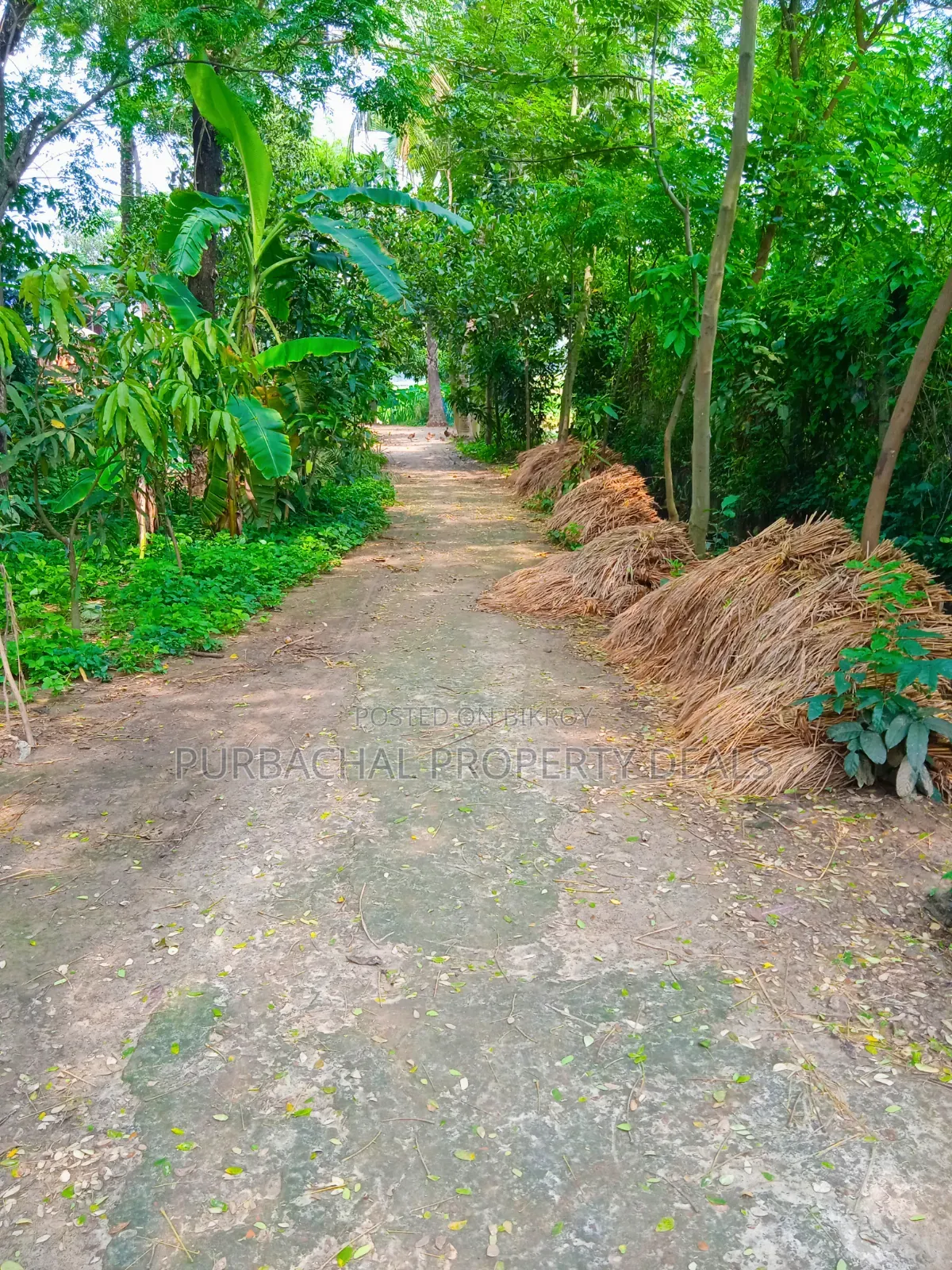 90 decimal land in Purbachal suitable for garden house or farm house at low price in Purbachal