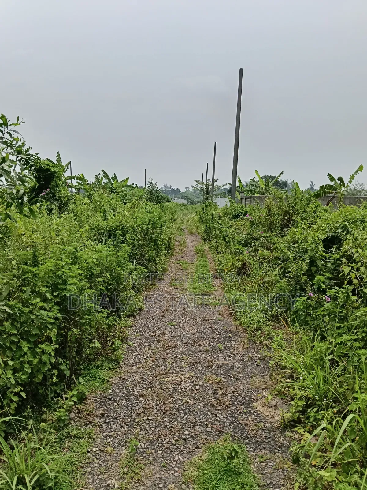 Sector-25, East Facing 7.50 Katha in Purbachal