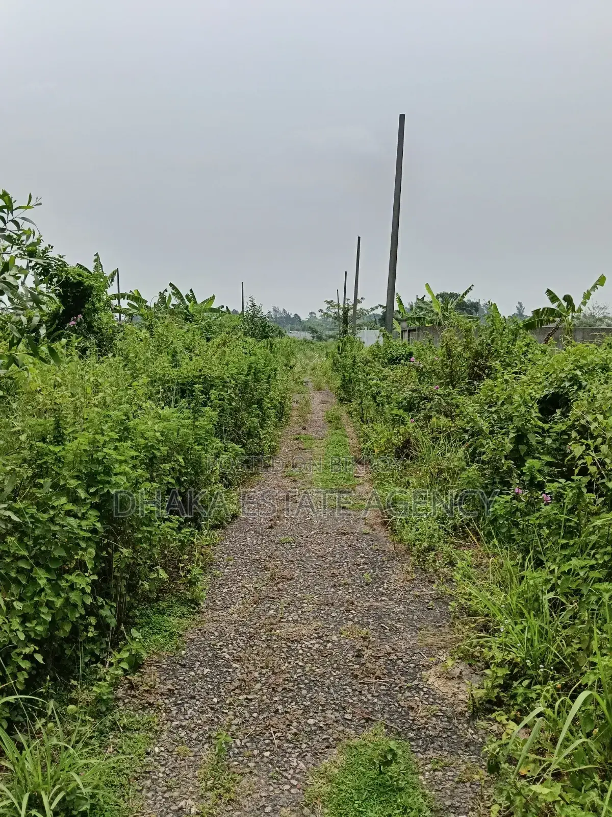 Sector-25, East Facing 7.50 Katha in Purbachal