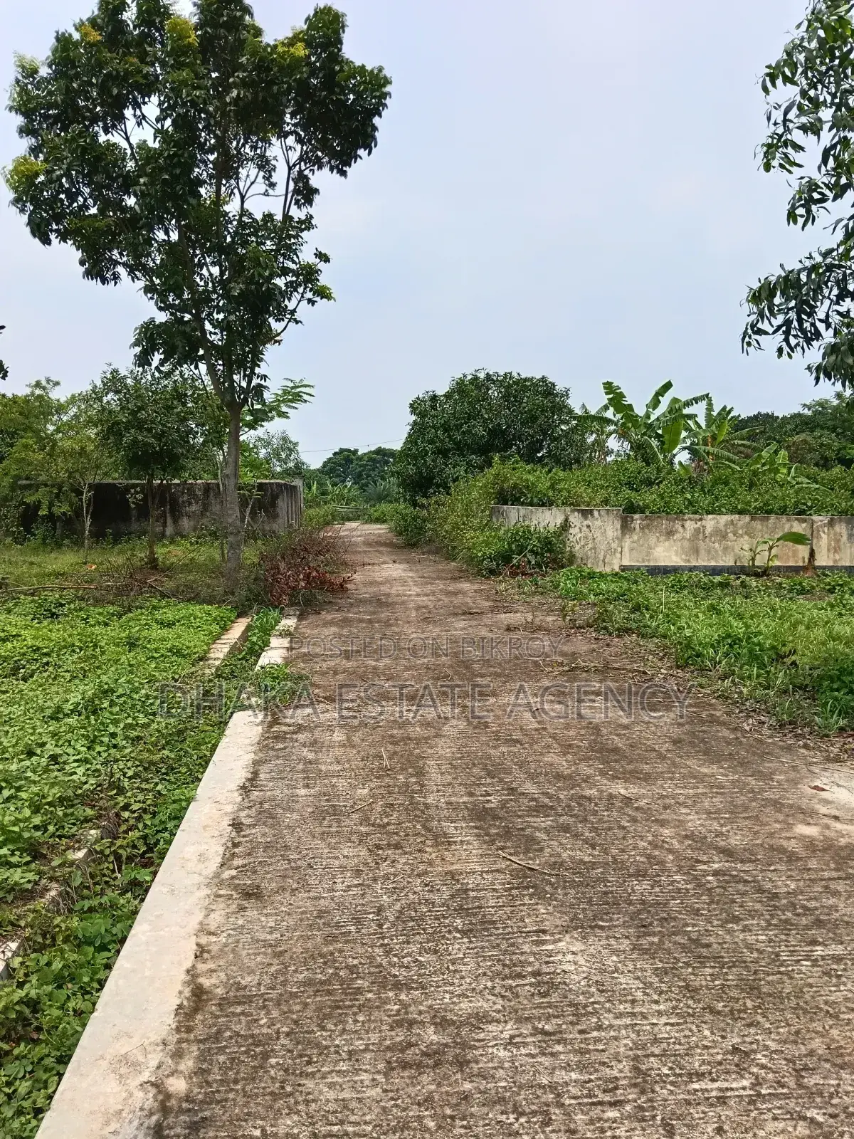 Sector-9, South Facing 5 Katha Plot Sale in Purbachal