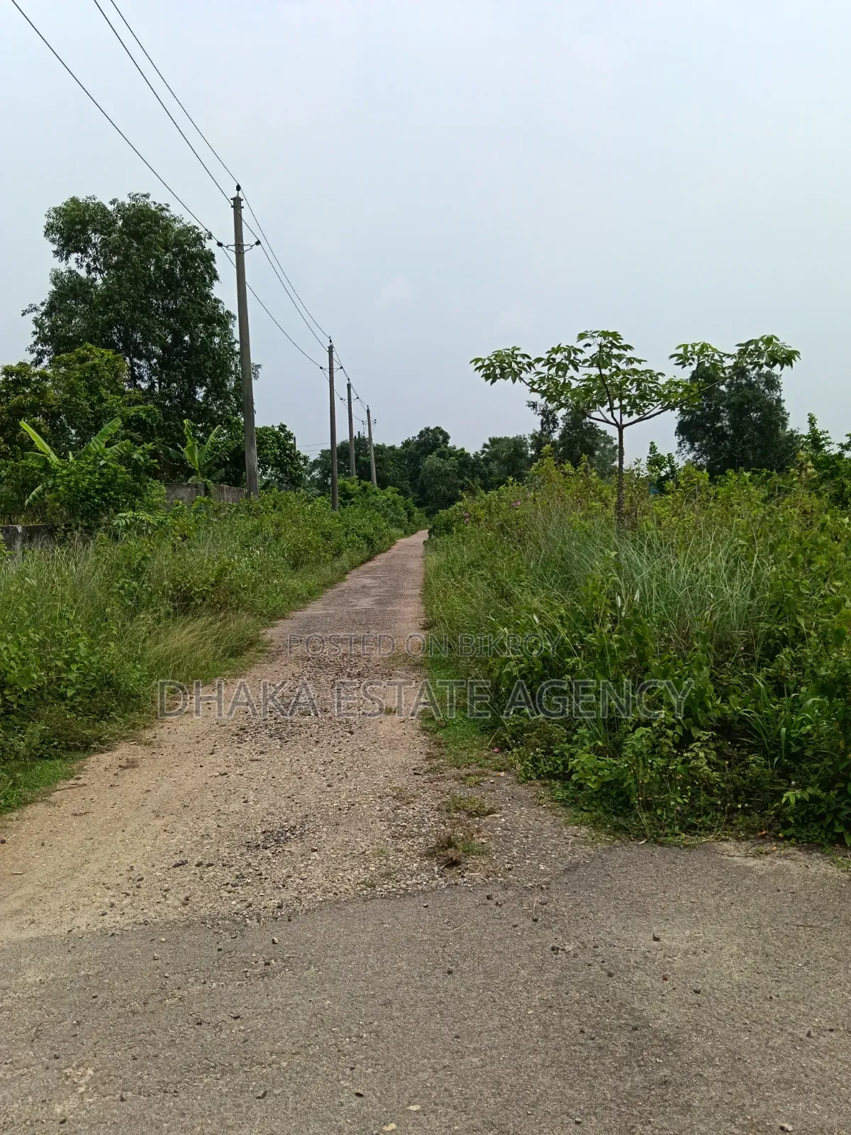 Sector-9, South Facing 5 Katha Plot Sale in Purbachal