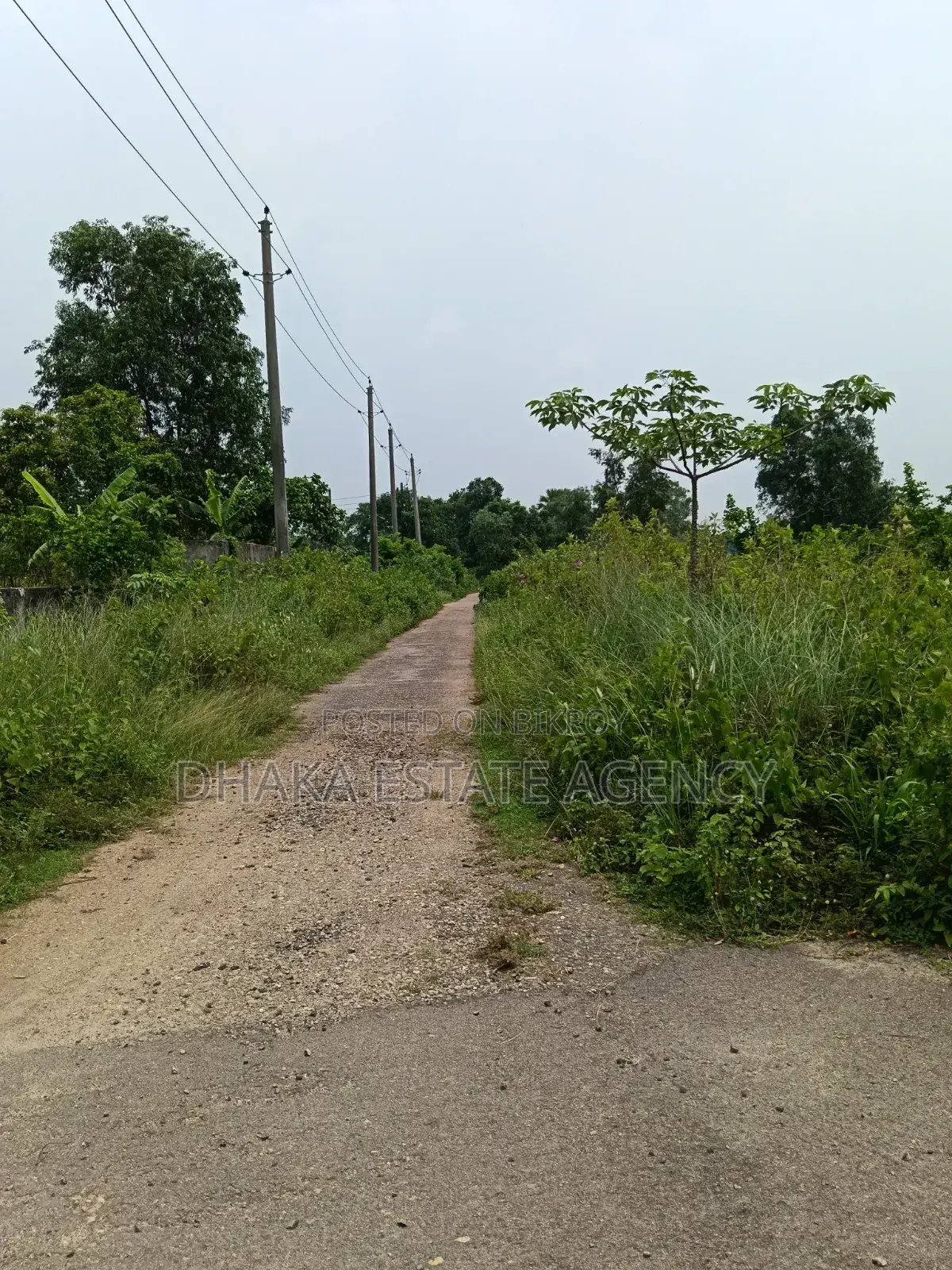 Sector-9, South Facing 5 Katha Plot Sale in Purbachal